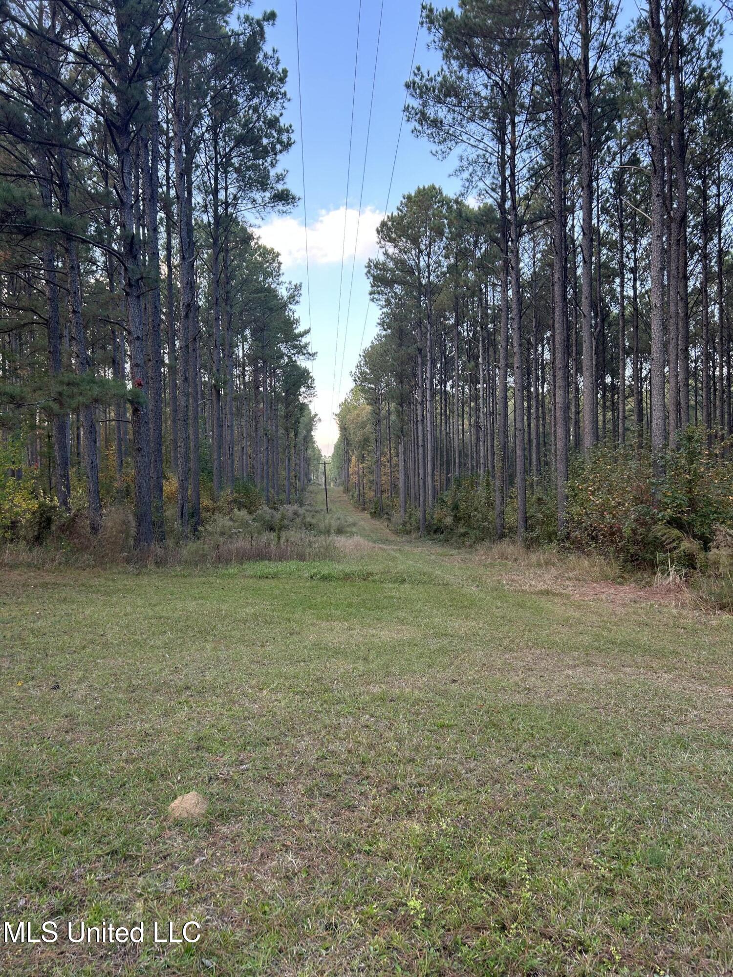 4024 Old Mill Road Osyka, MS 39657 - Photo 6 of 76 IMG_1029