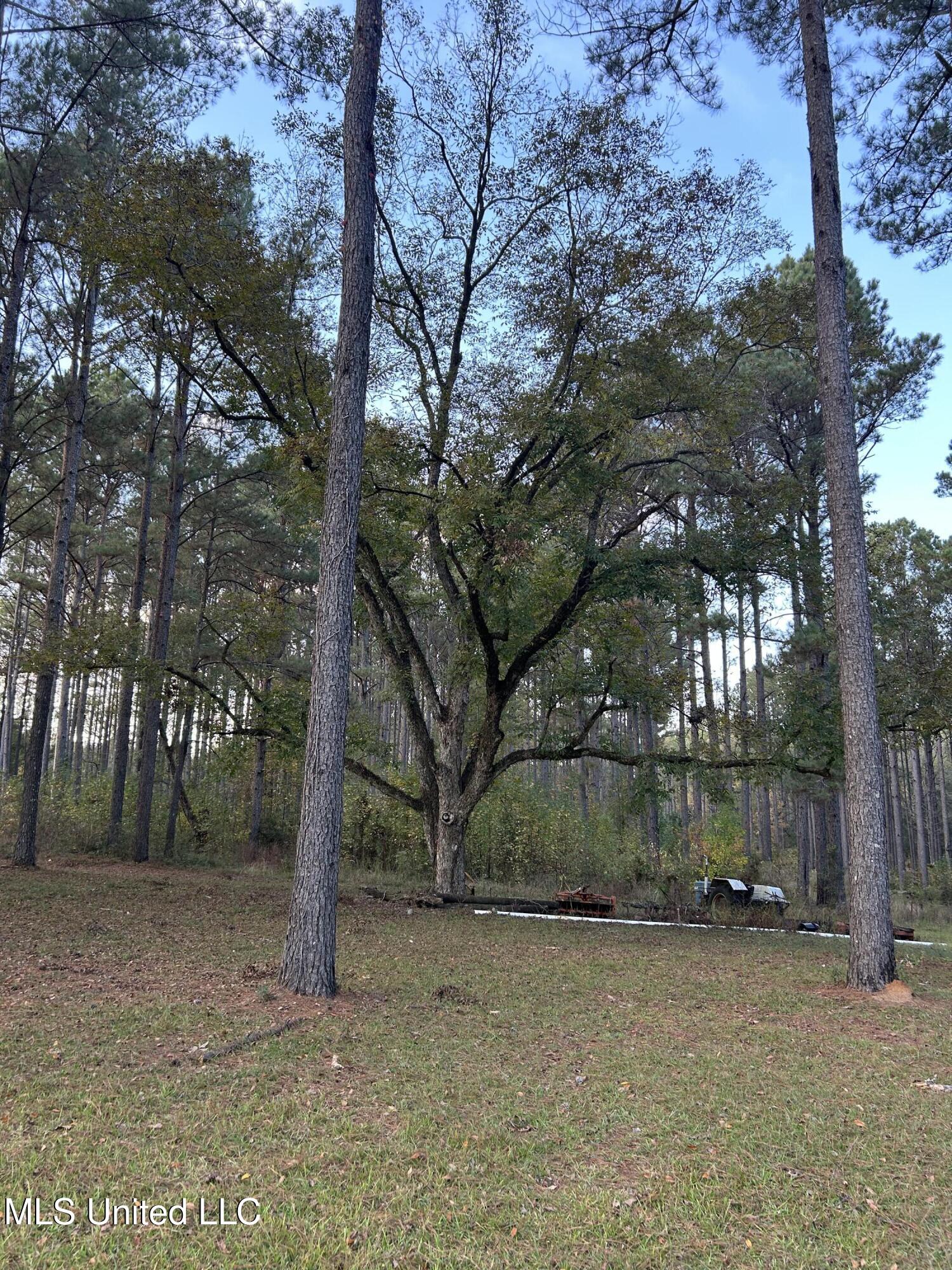 4024 Old Mill Road Osyka, MS 39657 - Photo 71 of 76 IMG_1027