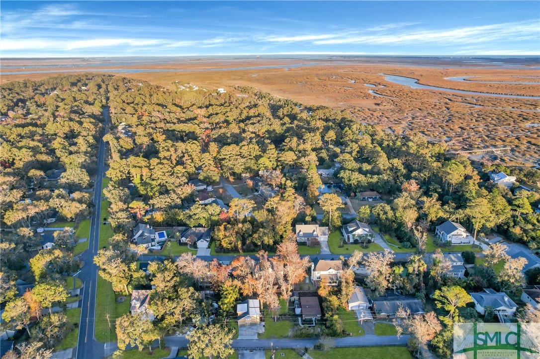 910 Mims Street Savannah, GA 31410 - Photo 36 of 36 Aerial View of Property