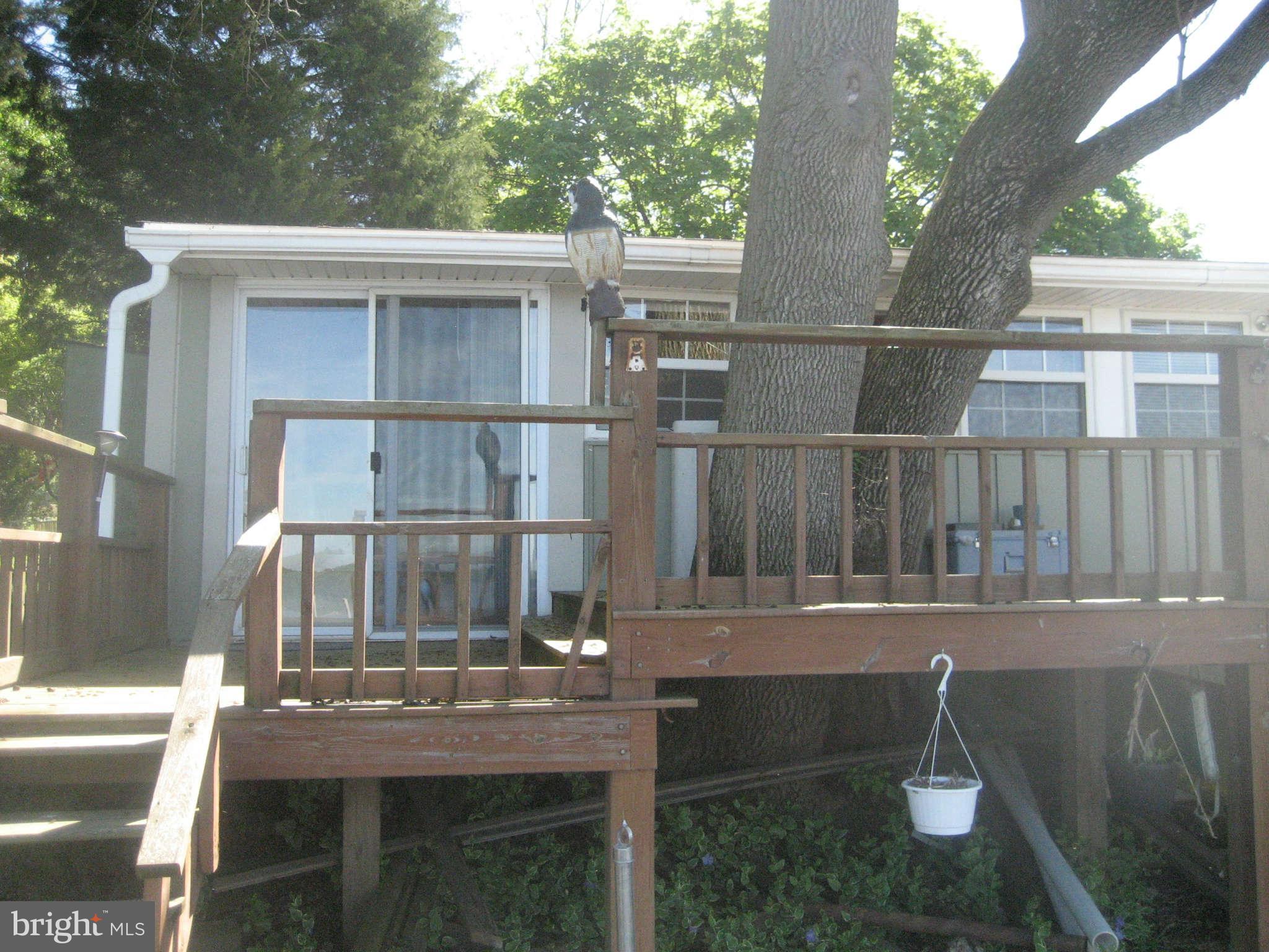 423 West Lewis Shore Road Elkton, MD 21921 - Photo 14 of 19 Back of Cottage