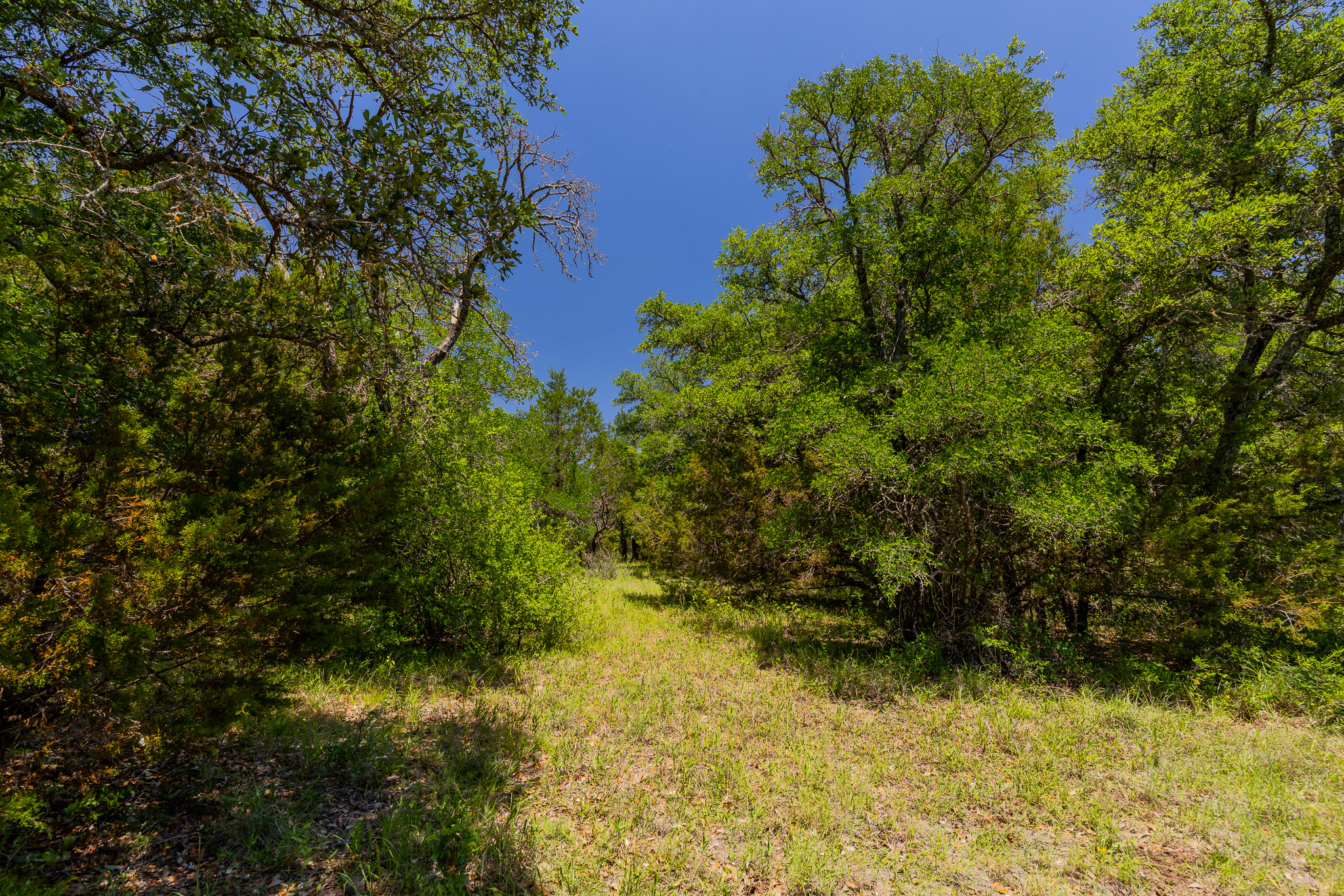 180 72 Ac Road Purmela, TX 76566 - Photo 12 of 33