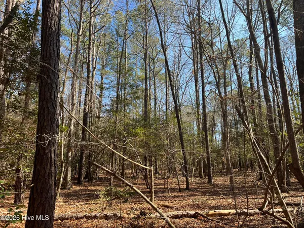 $378,500 | 290 Thomas Place, West End, NC 27376