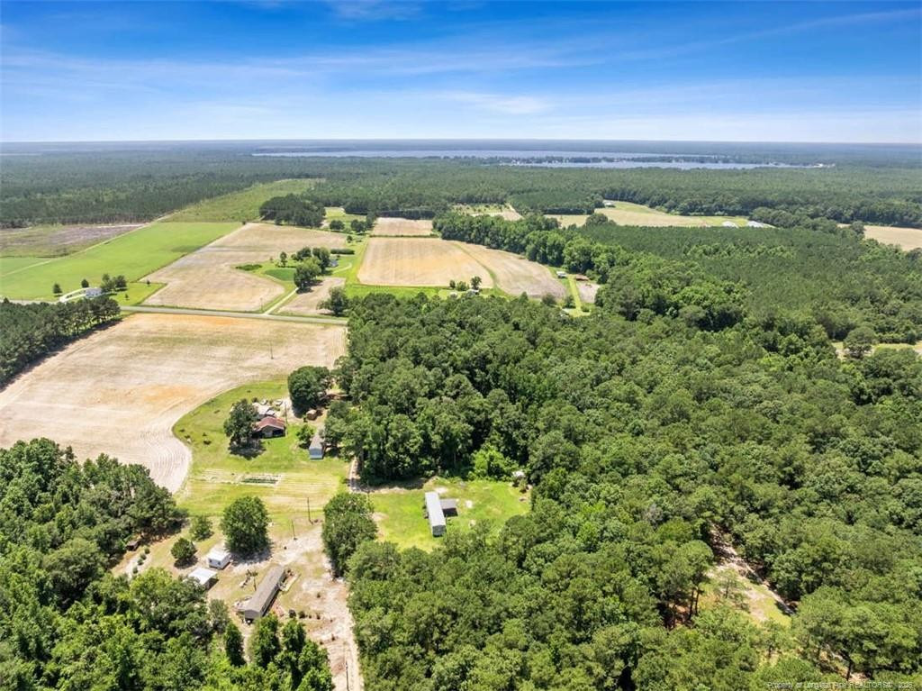 145 Opossum Lane Harrells, NC 28444 - Photo 7 of 11 a view of a yard with an ocean view