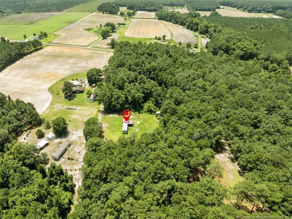145 Opossum Lane Harrells, NC 28444 - Photo 10 of 11 a view of yard