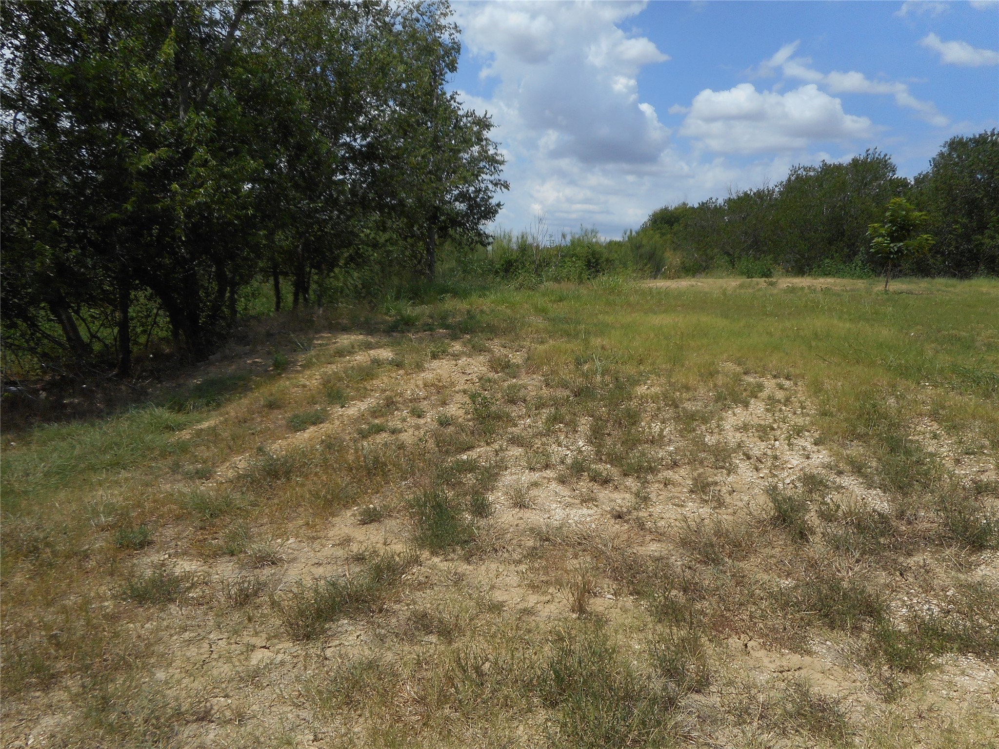 808 Maple Street Taylor, TX 76574 - Photo 4 of 4 a view of a field with an trees