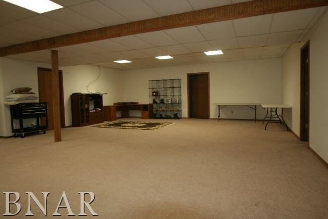 4635 Minier Road Armington, IL 61721 - Photo 16 of 28