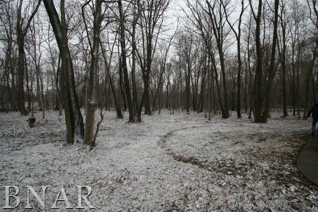 4635 Minier Road Armington, IL 61721 - Photo 27 of 28