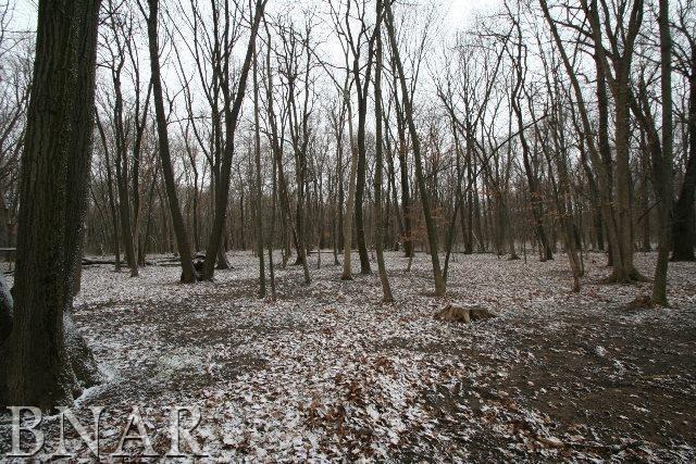 4635 Minier Road Armington, IL 61721 - Photo 28 of 28