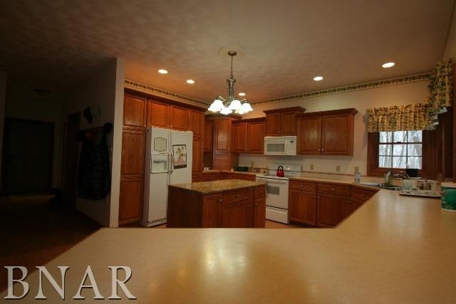 4635 Minier Road Armington, IL 61721 - Photo 6 of 28