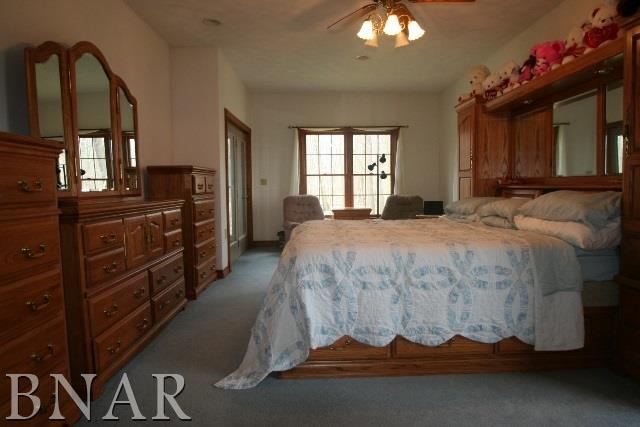 4635 Minier Road Armington, IL 61721 - Photo 10 of 28