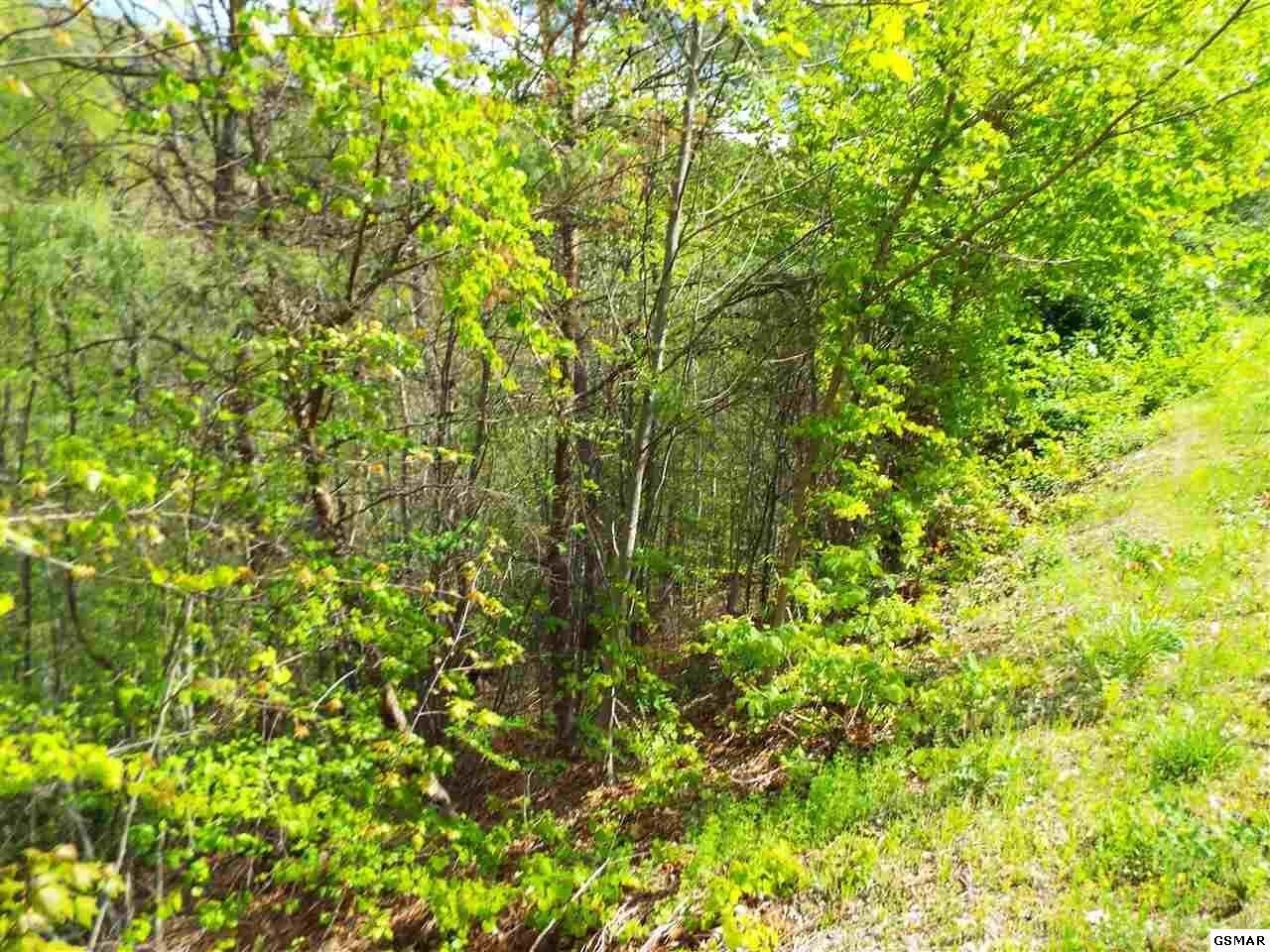 0 East Redtail Road Sevierville, TN 37862 - Photo 7 of 9 Gallery Image 7