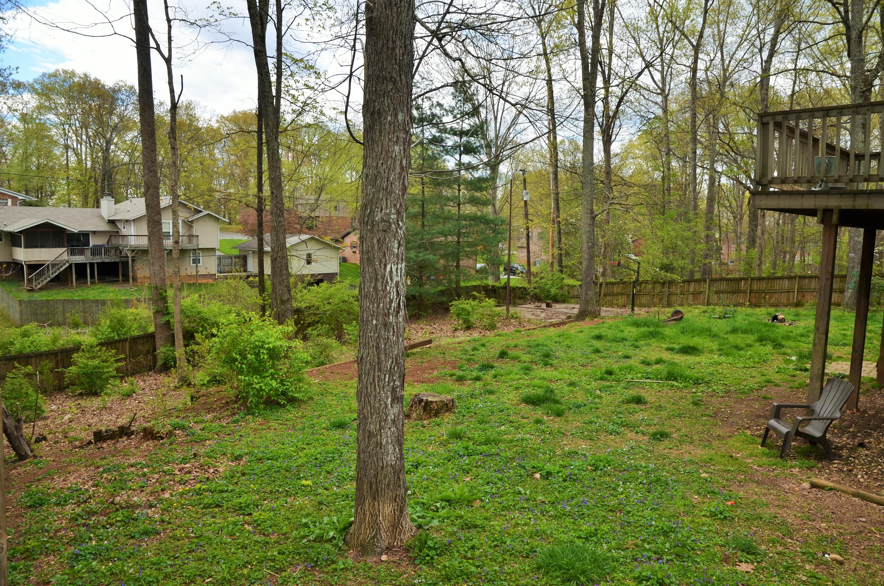 8112 Bells Campground Road Powell, TN 37849 - Photo 3 of 16 Backyard1