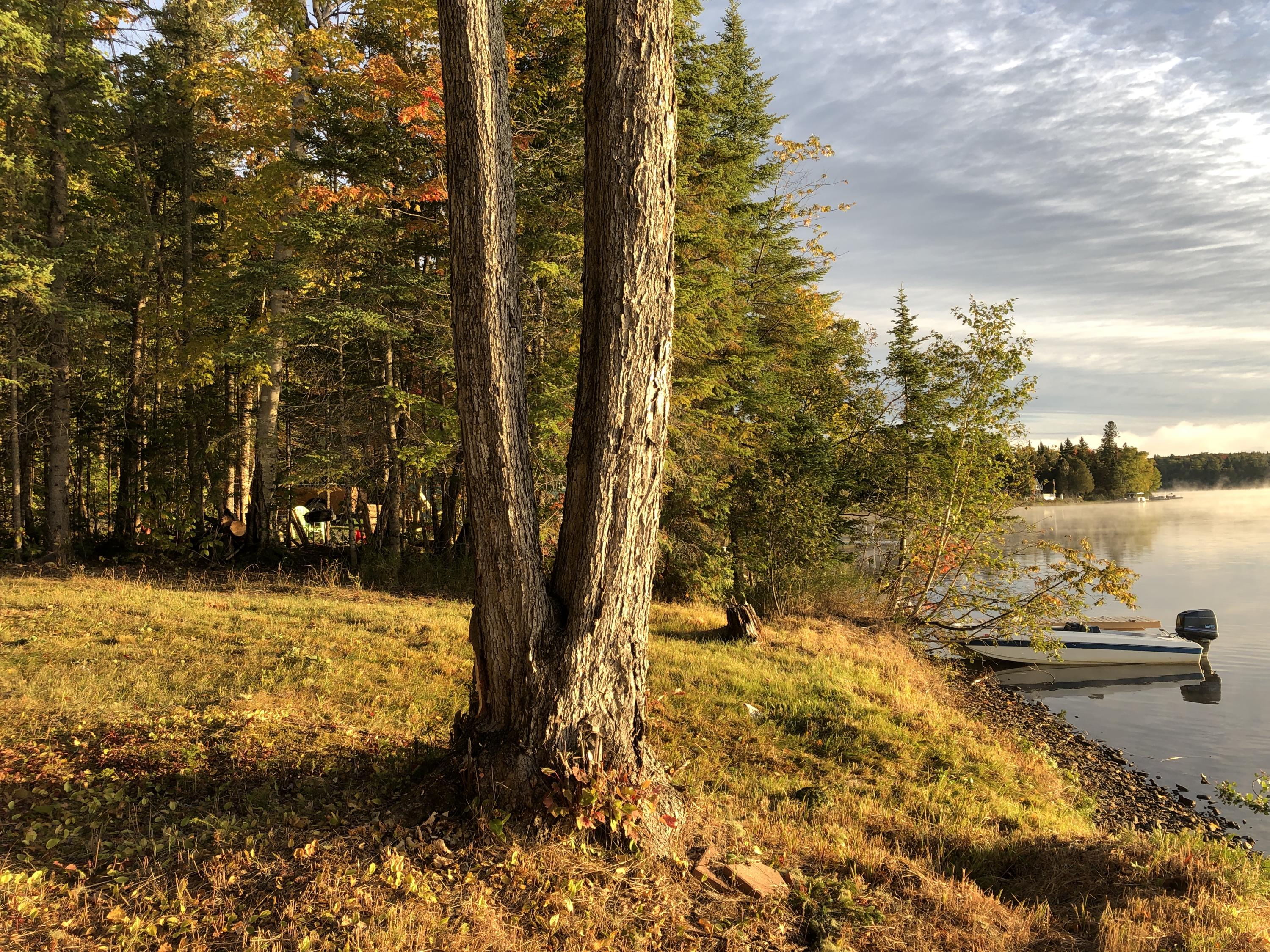 691 Little Madawaska Lake Road Stockholm, ME 04783 - Photo 2 of 21 691 Little Madawaska Lake Westmanland (2