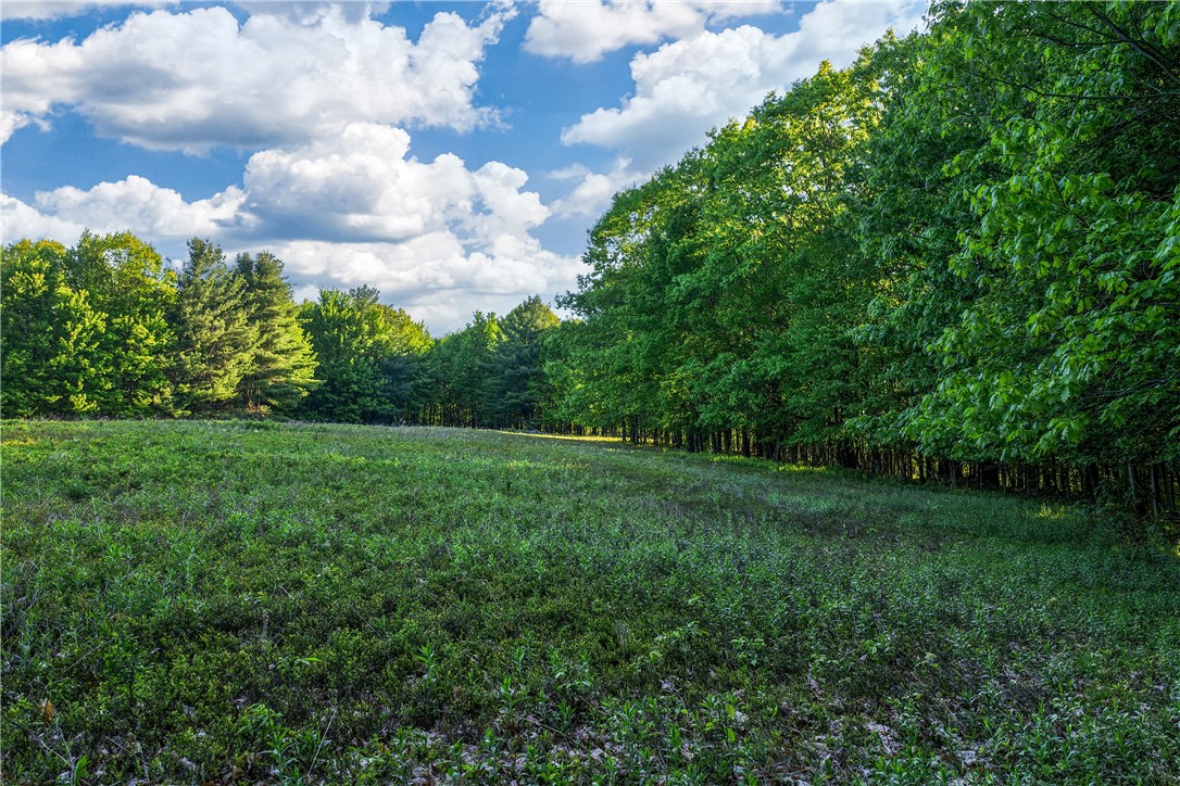 19-22 25 Frank Slawson Road Oneonta, NY 13820 - Photo 12 of 30