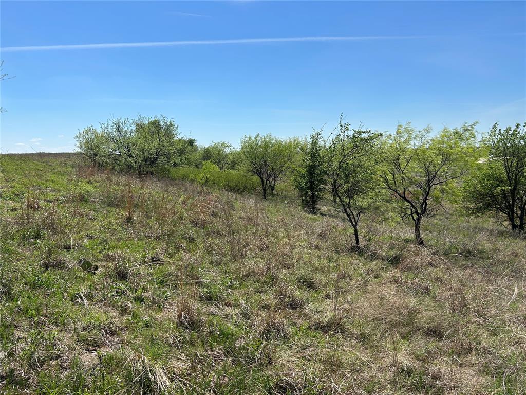 3641 Bear Creek Road Aledo, TX 76008 - Photo 14 of 22 4th elevation