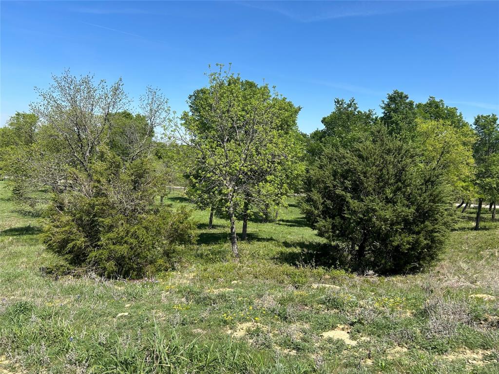 3641 Bear Creek Road Aledo, TX 76008 - Photo 19 of 22 1st elevation