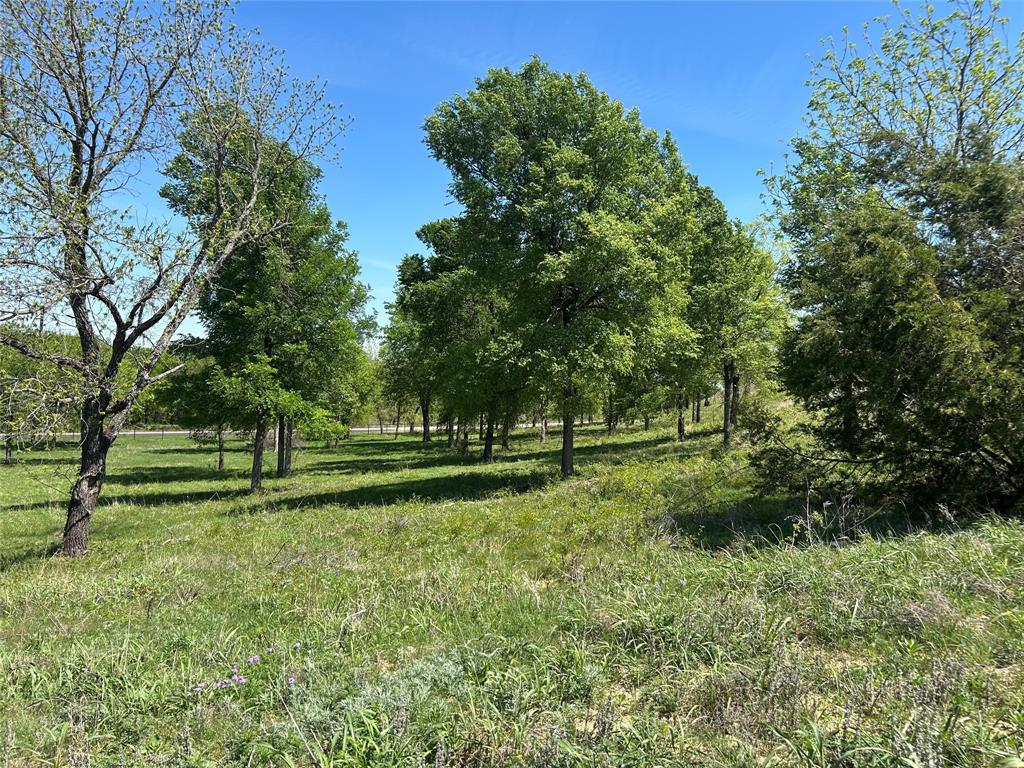 3641 Bear Creek Road Aledo, TX 76008 - Photo 20 of 22 1st elevation