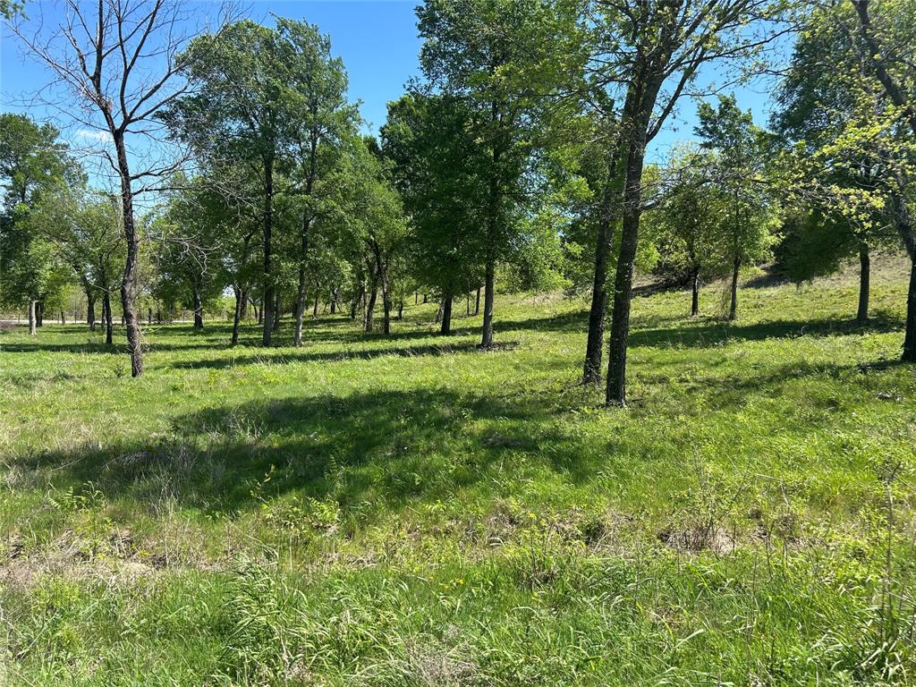 3641 Bear Creek Road Aledo, TX 76008 - Photo 21 of 22 1st elevation