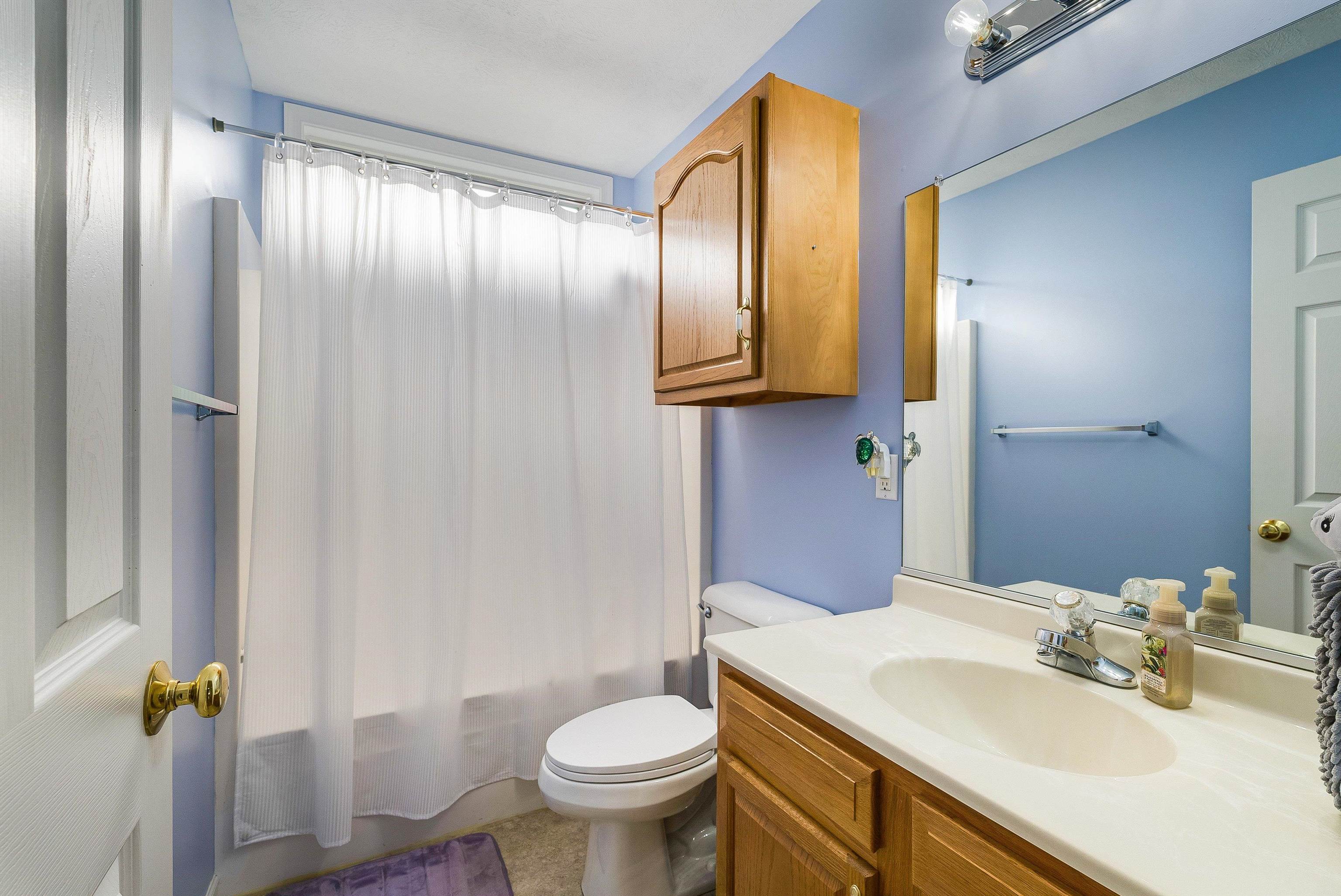 425 South Jackson Avenue Waynesboro, VA 22980 - Photo 34 of 47 a bathroom with a sink a toilet and mirror