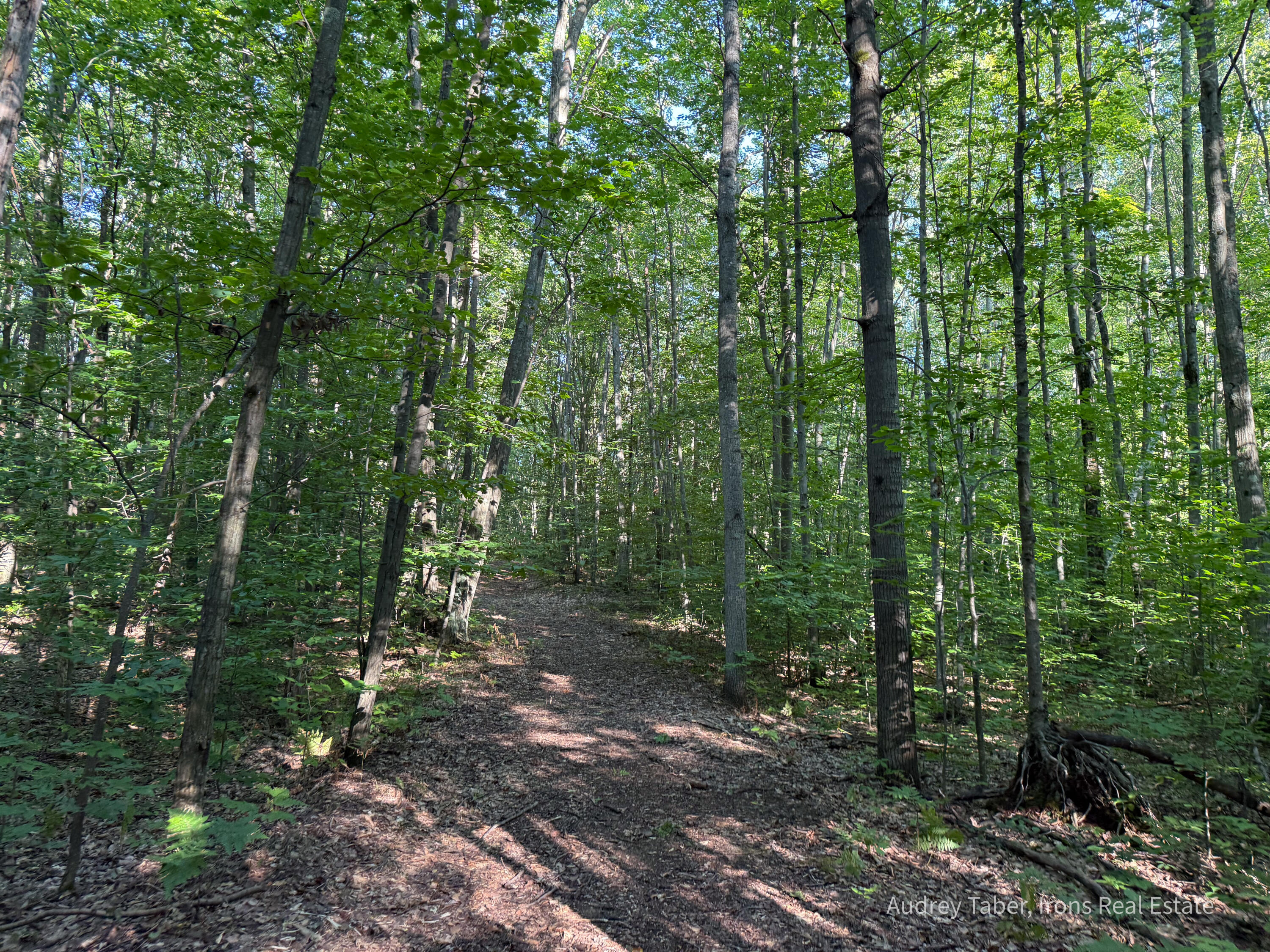 1-5 Clements Road Kaleva, MI 49645 - Photo 46 of 61 ClementsRd-29