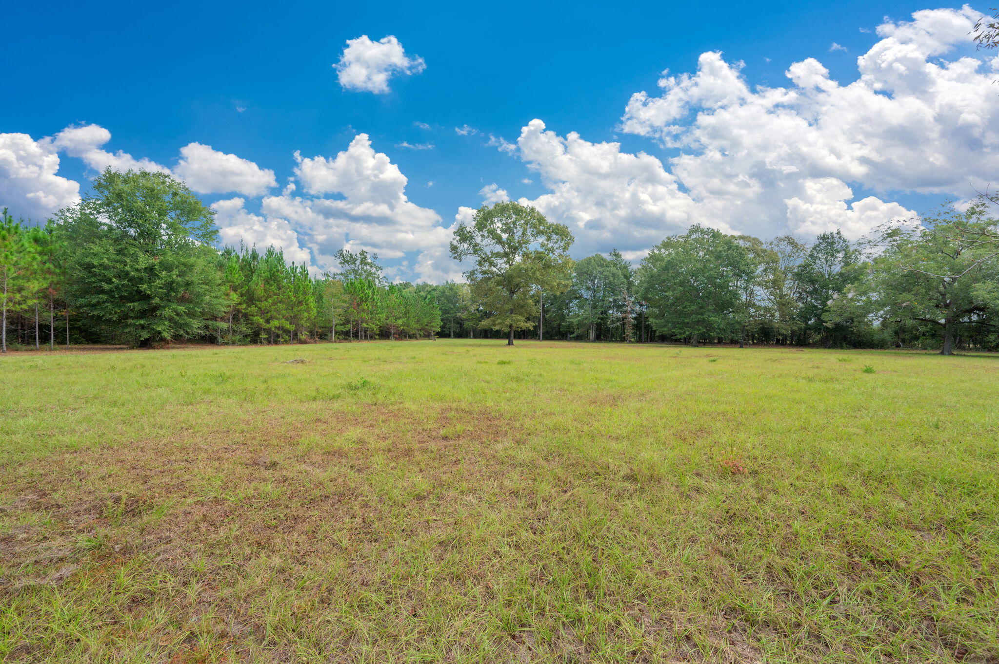 25727 Fifth Avenue Florala, AL 36442 - Photo 15 of 43