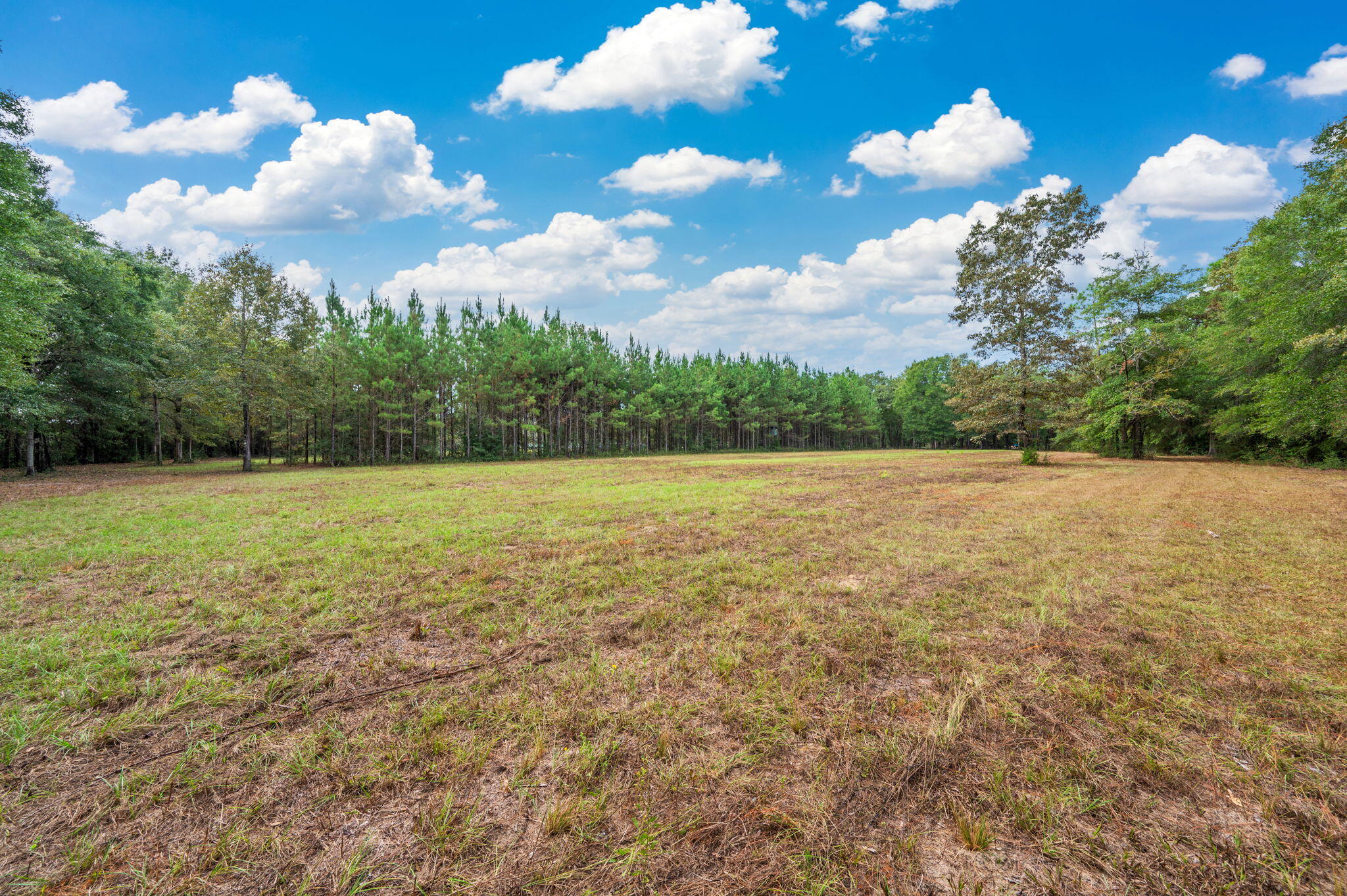 25727 Fifth Avenue Florala, AL 36442 - Photo 21 of 43 a view of a lake view