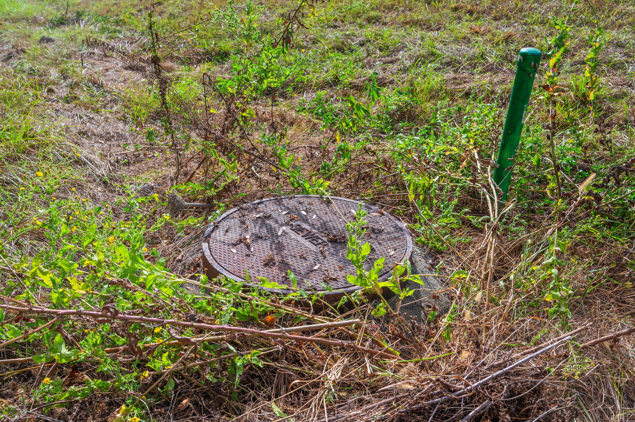 25727 Fifth Avenue Florala, AL 36442 - Photo 38 of 43 a view of an outdoor space