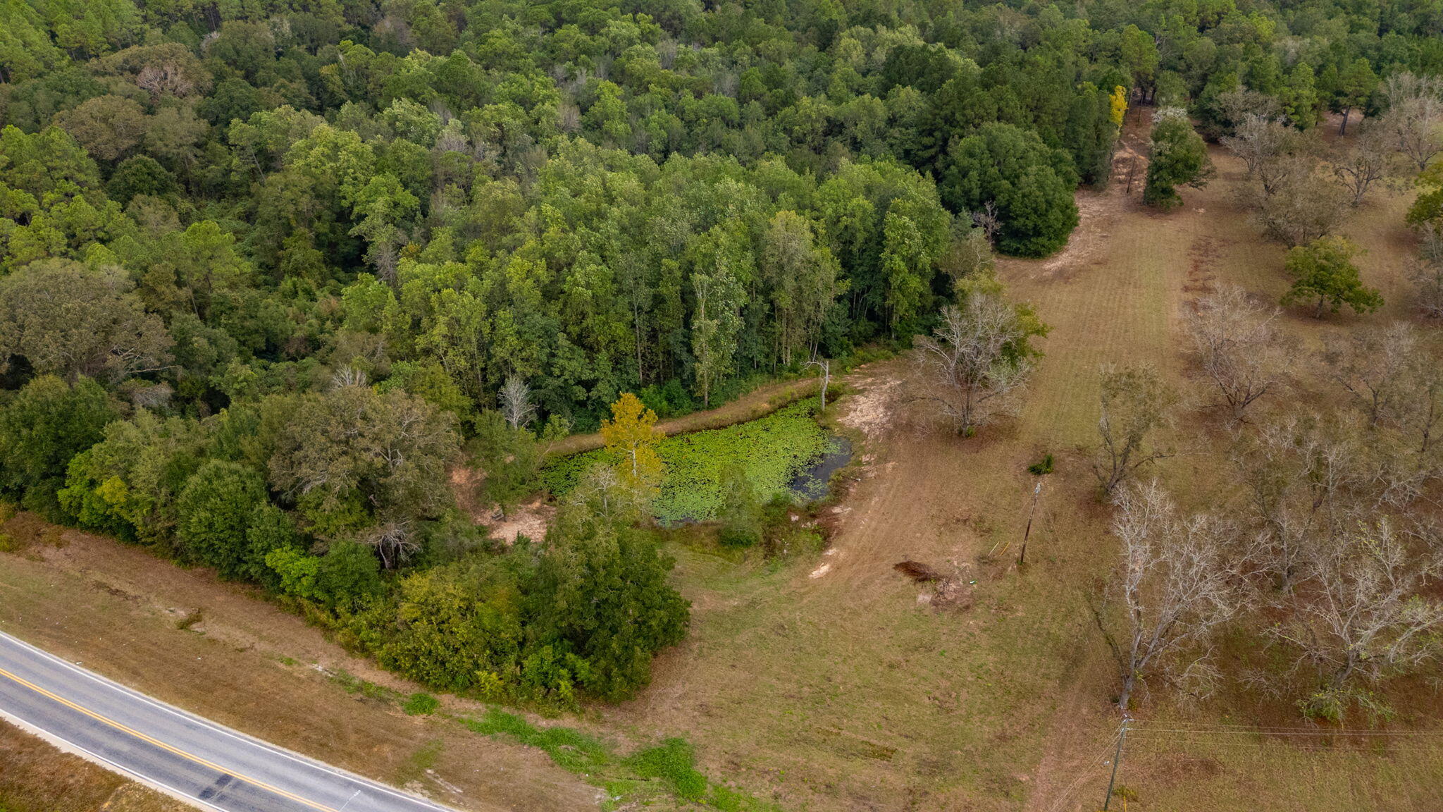 25727 Fifth Avenue Florala, AL 36442 - Photo 39 of 43 a view of a yard with plants