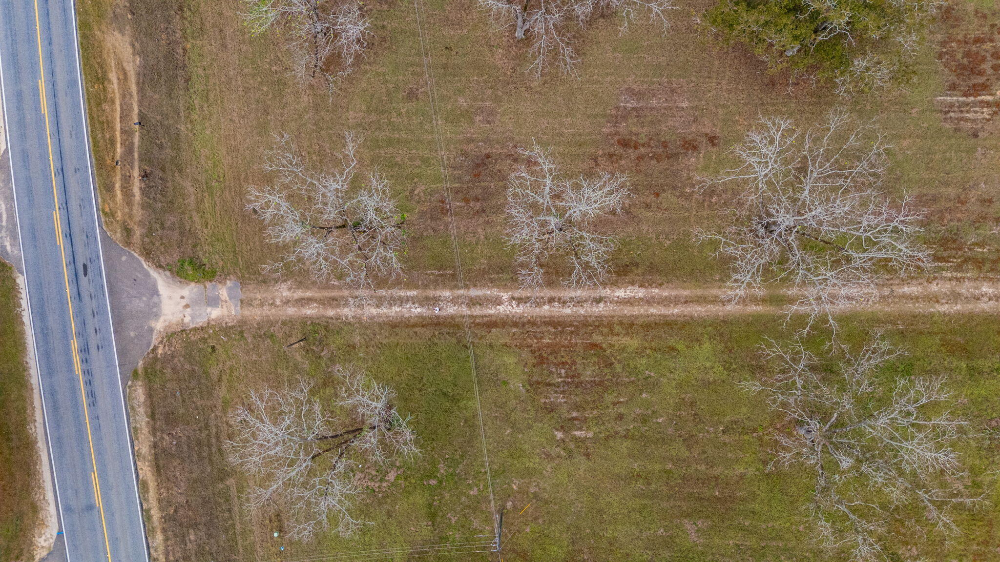 25727 Fifth Avenue Florala, AL 36442 - Photo 40 of 43 a bathroom with a shower curtain