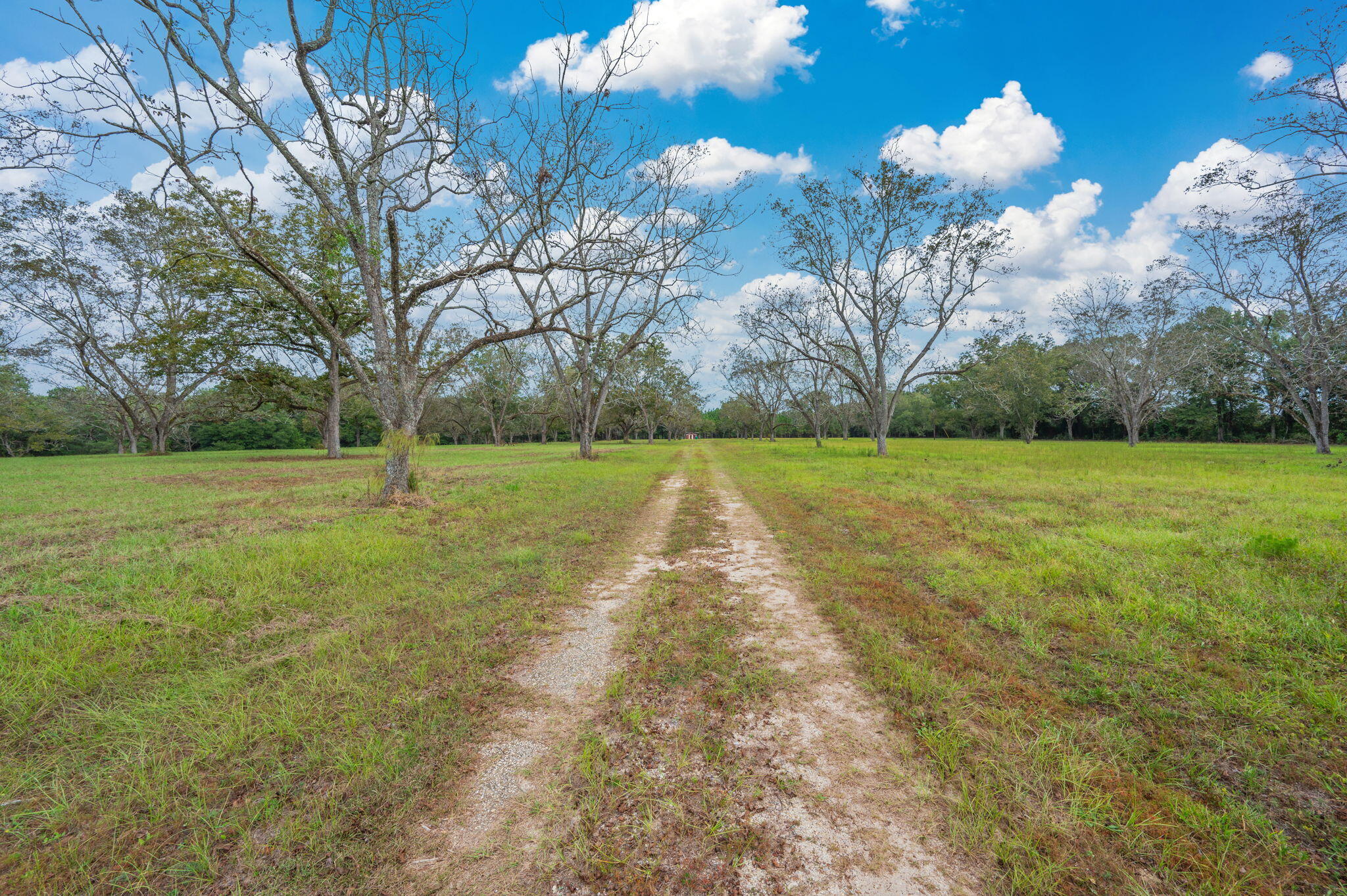 25727 Fifth Avenue Florala, AL 36442 - Photo 4 of 43 a view of a golf course with a trees