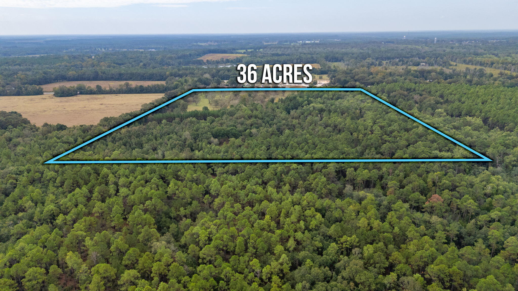 25727 Fifth Avenue Florala, AL 36442 - Photo 41 of 43 a view of a outdoor space