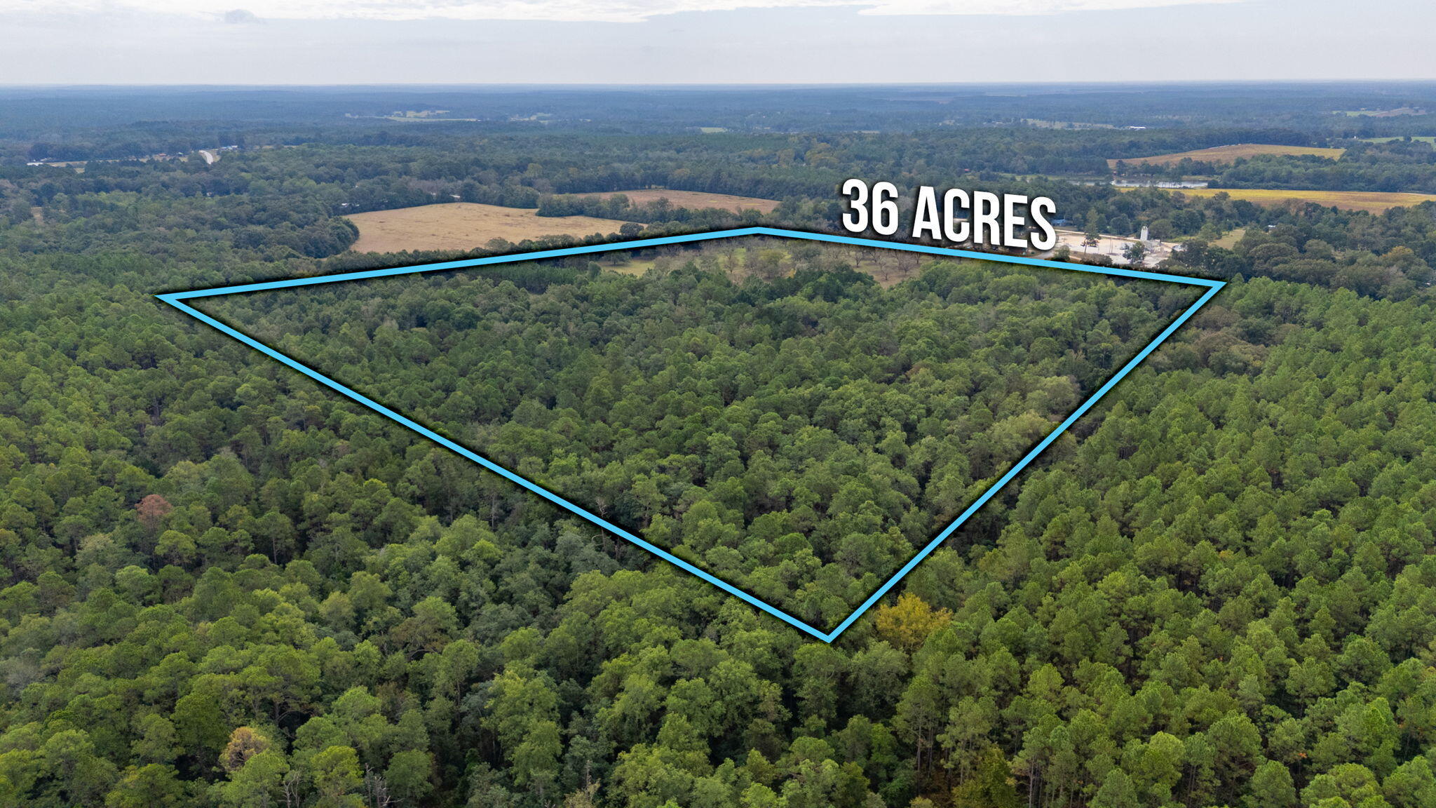 25727 Fifth Avenue Florala, AL 36442 - Photo 42 of 43 a view of a tennis court