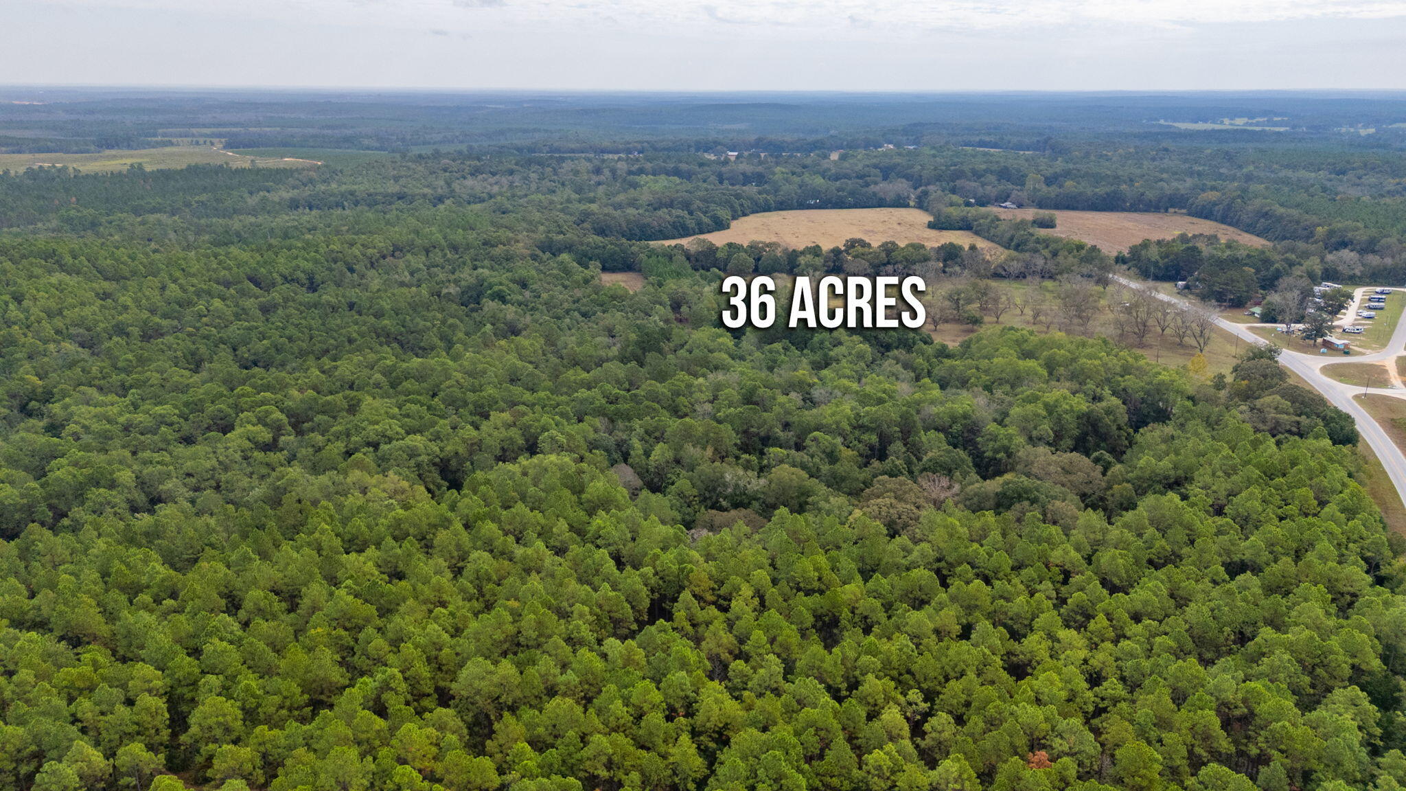 25727 Fifth Avenue Florala, AL 36442 - Photo 43 of 43