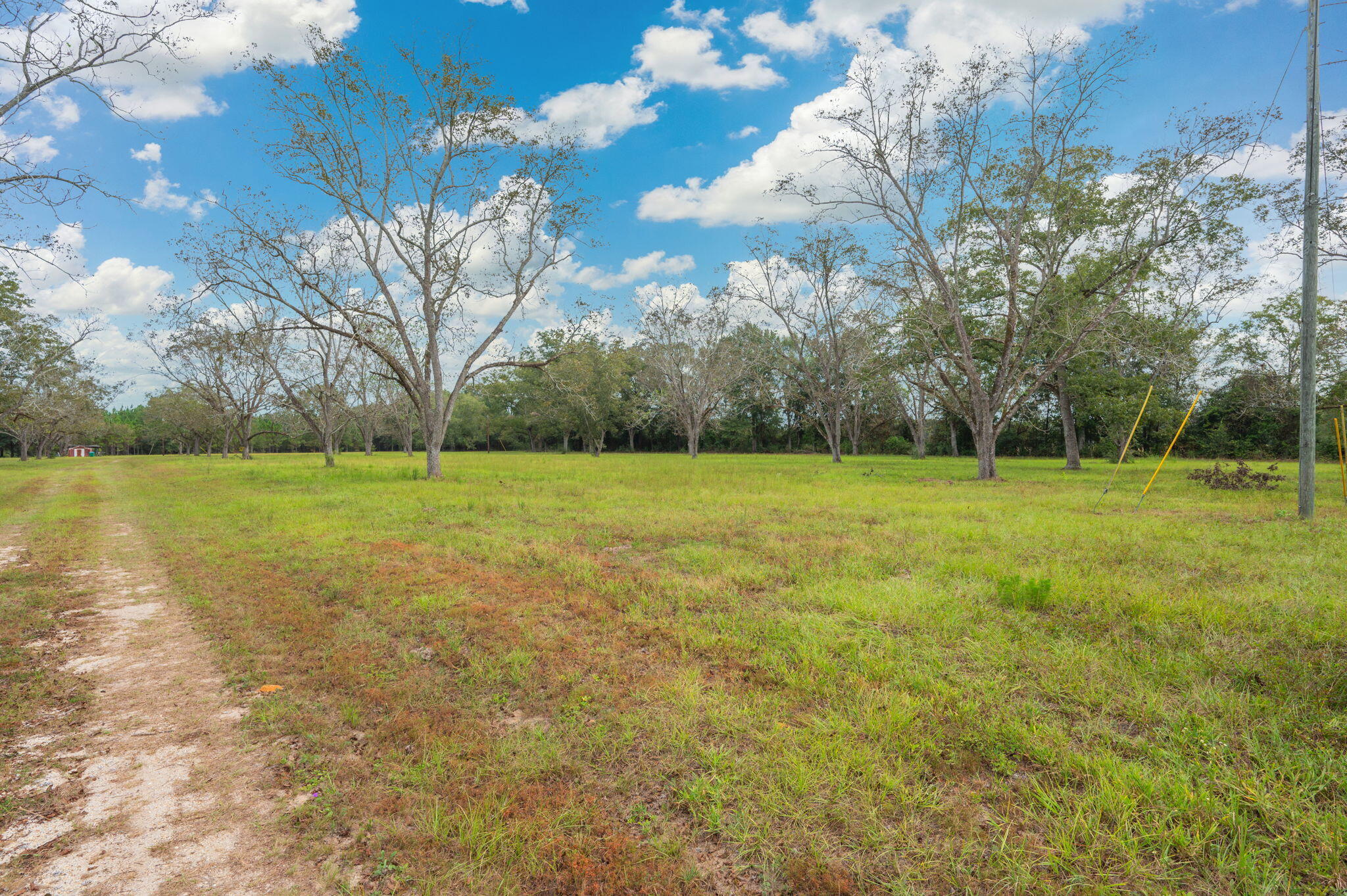 25727 Fifth Avenue Florala, AL 36442 - Photo 6 of 43 a view of a green field with trees in the background