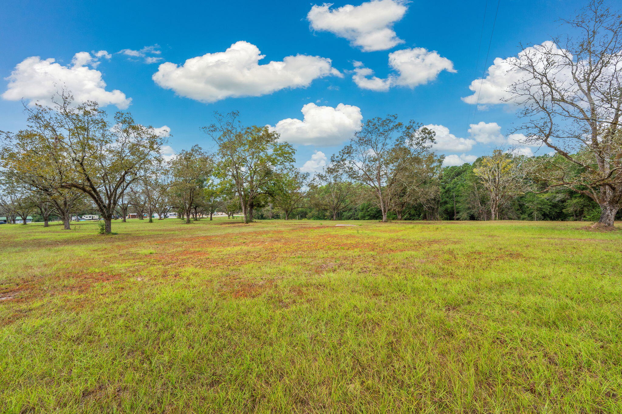 25727 Fifth Avenue Florala, AL 36442 - Photo 8 of 43 a view of a building