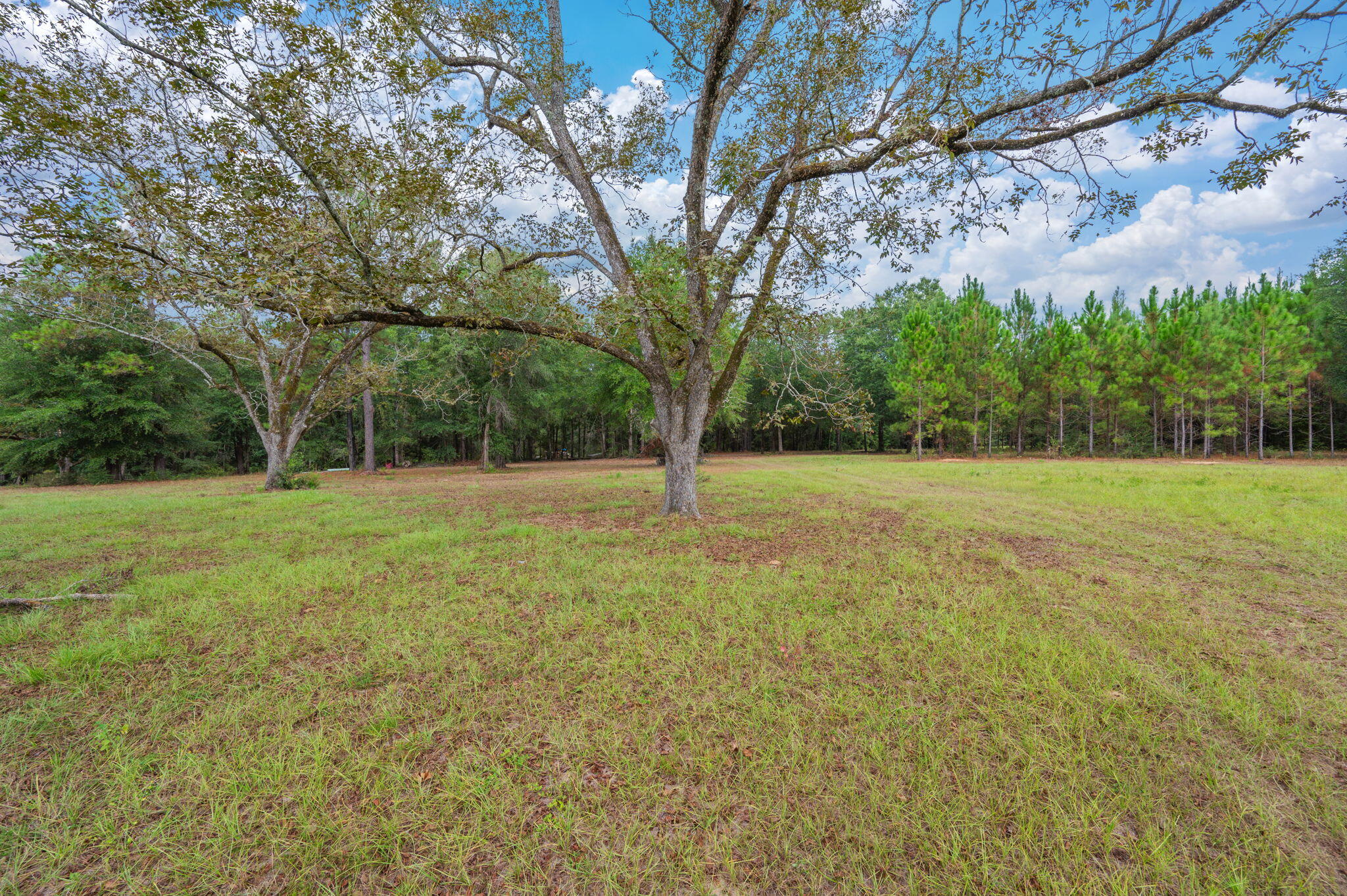 25727 Fifth Avenue Florala, AL 36442 - Photo 9 of 43 a view of outdoor space with deck and yard