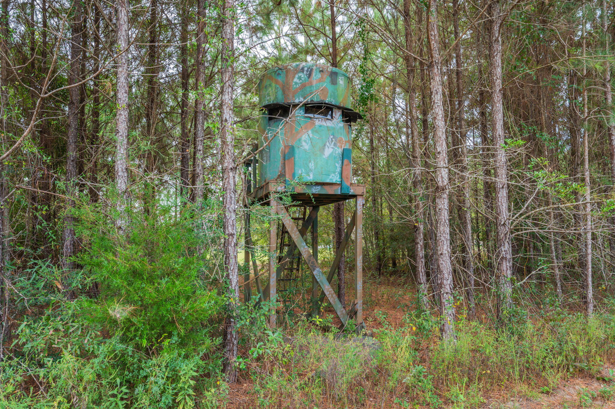 25727 Fifth Avenue Florala, AL 36442 - Photo 10 of 43