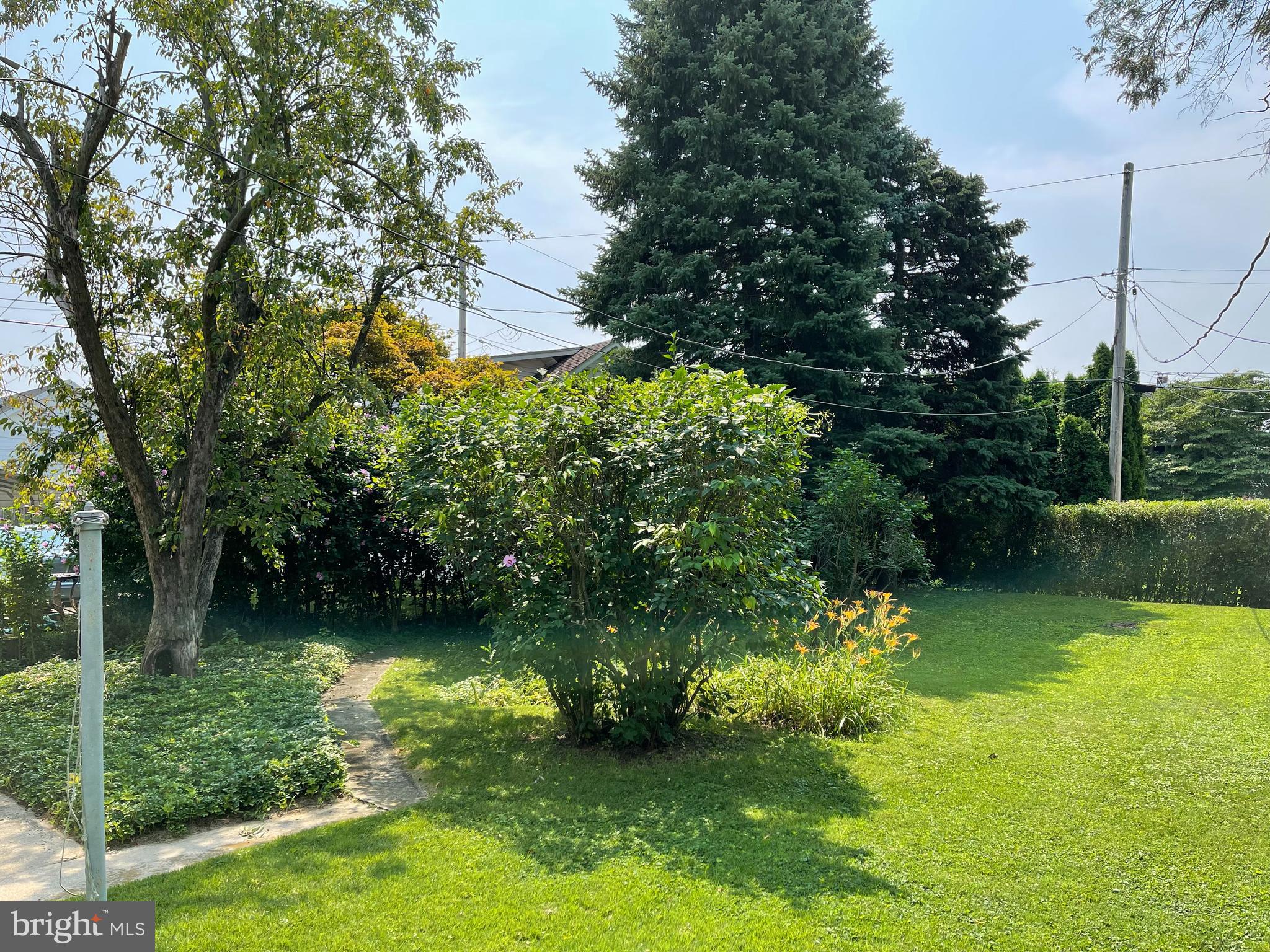 2316 Spring Street Reading, PA 19609 - Photo 21 of 21 Rear yard