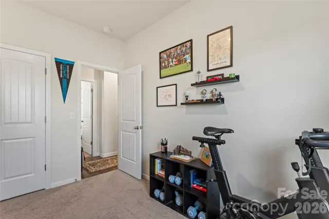 a potted plant sitting in front of a house