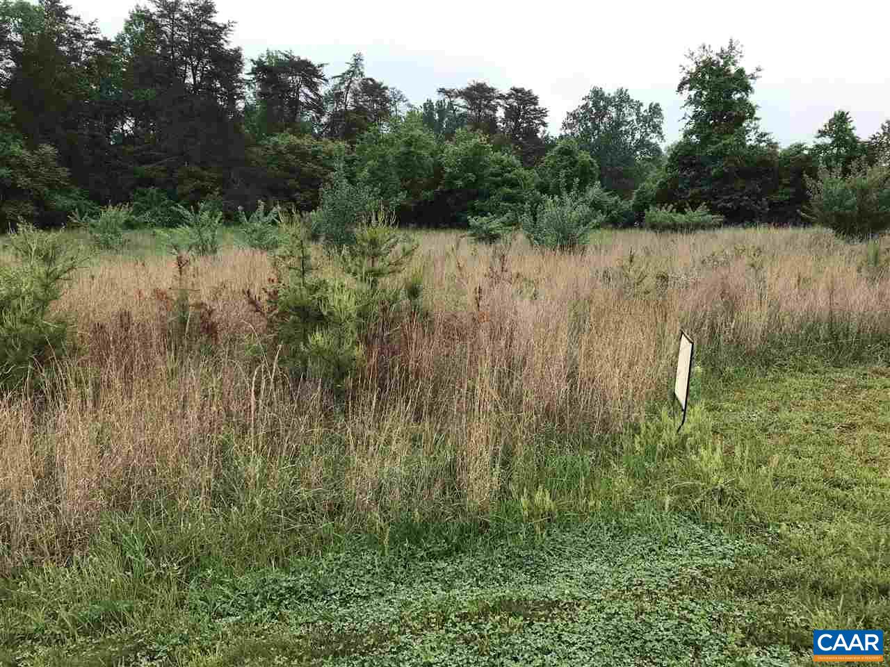 34 Guildford Farm Road Ruckersville, VA 22968 - Photo 4 of 21 a view of a lake with a forest