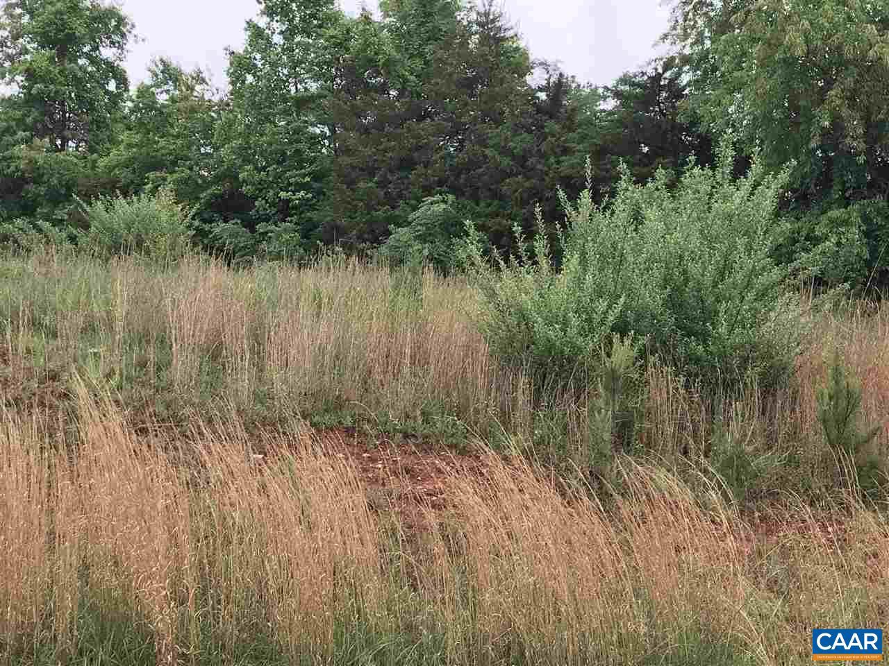 34 Guildford Farm Road Ruckersville, VA 22968 - Photo 8 of 21