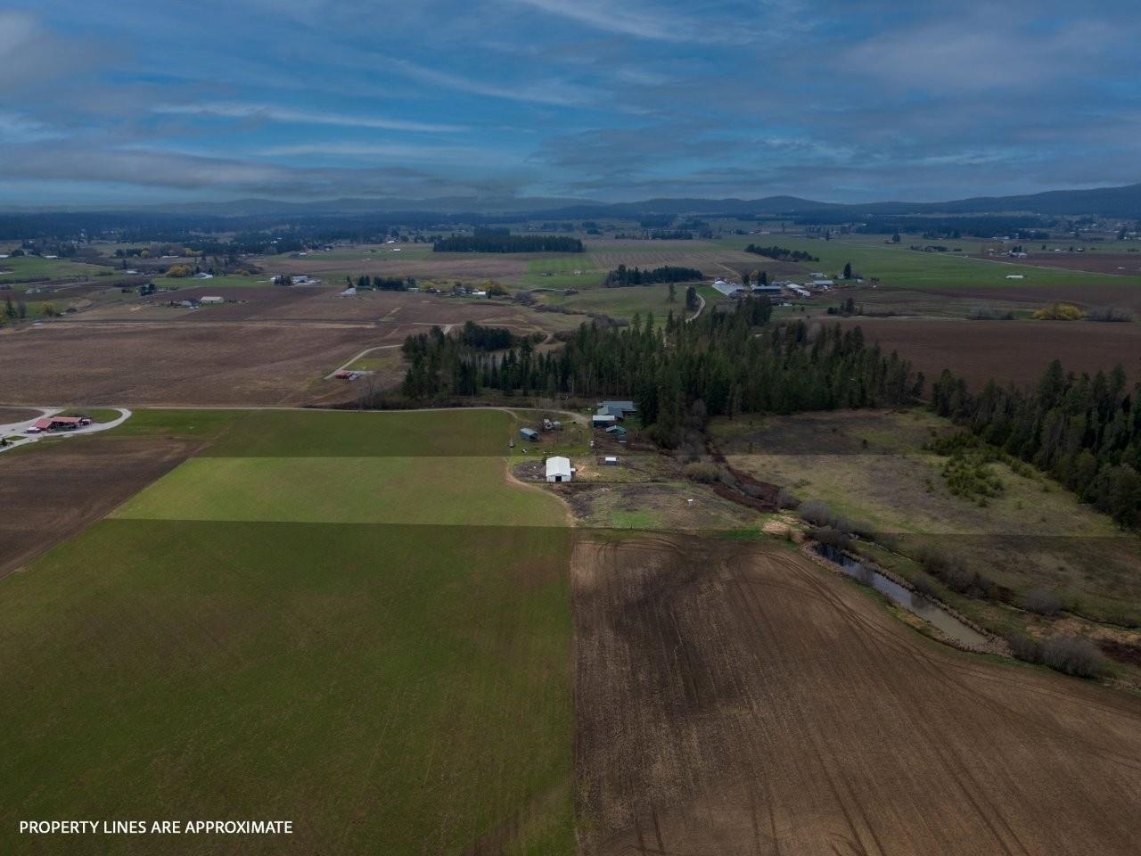 343-xx North Spotted Road Deer Park, WA 99006 - Photo 13 of 28