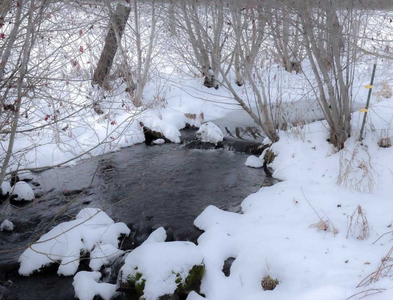 343-xx North Spotted Road Deer Park, WA 99006 - Photo 28 of 28