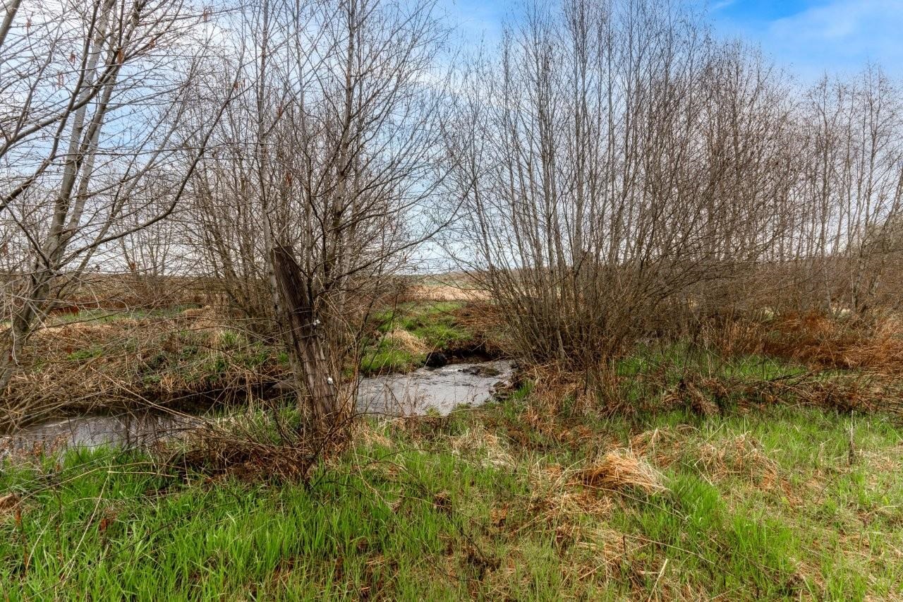 343-xx North Spotted Road Deer Park, WA 99006 - Photo 6 of 28