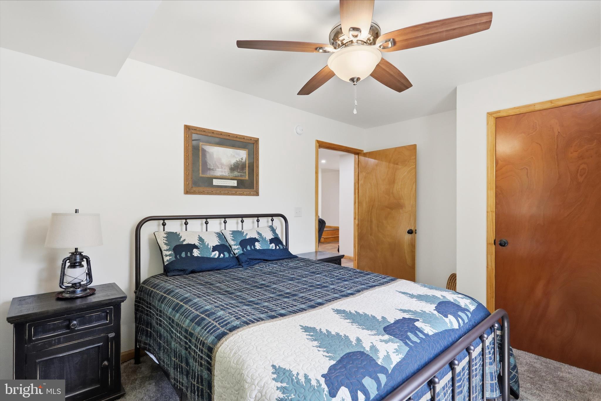 8315 Supinlick Ridge Road Mount Jackson, VA 22842 - Photo 37 of 50