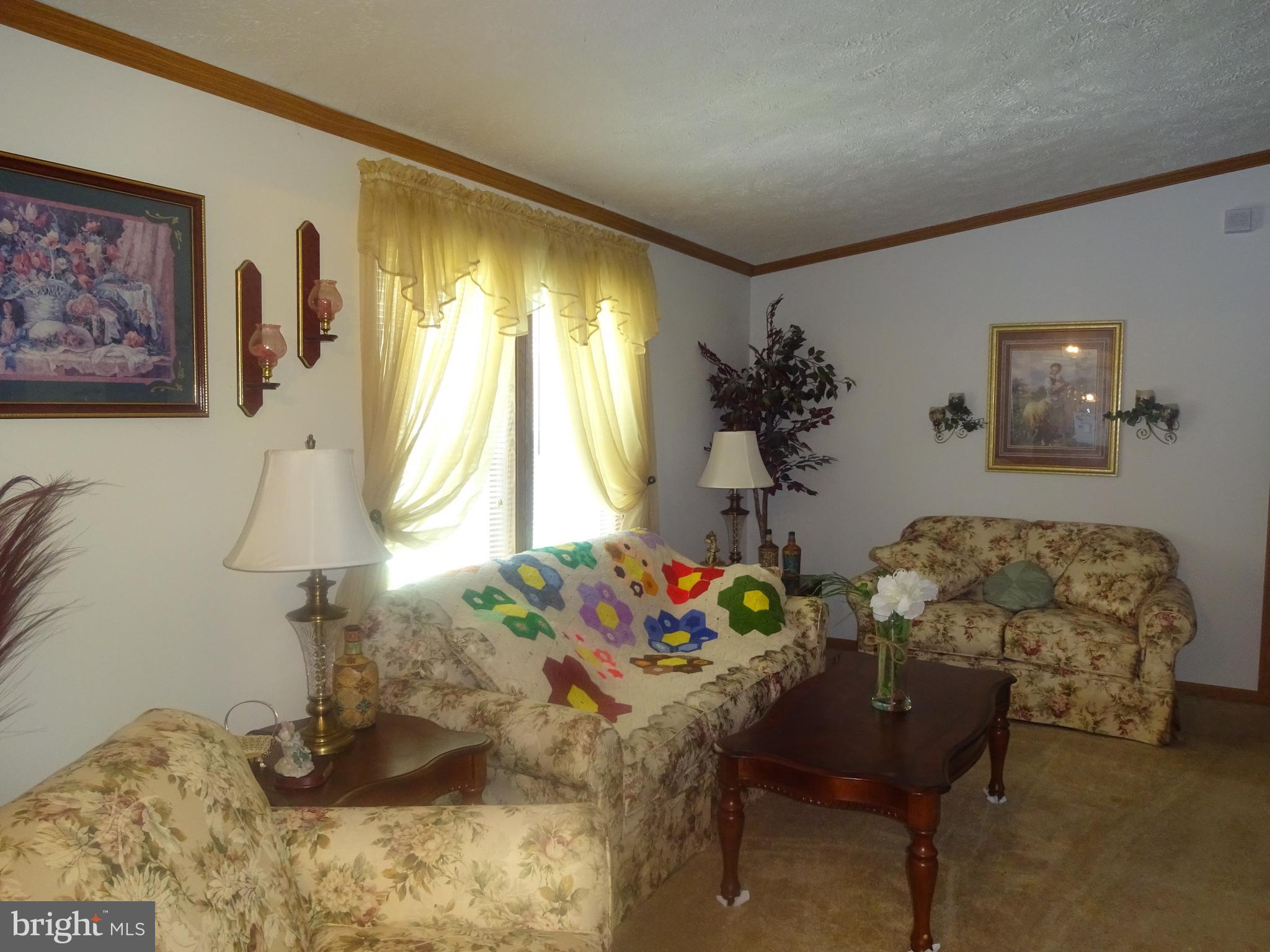 6614 Briarpatch Road Hurlock, MD 21643 - Photo 13 of 30 Living Room