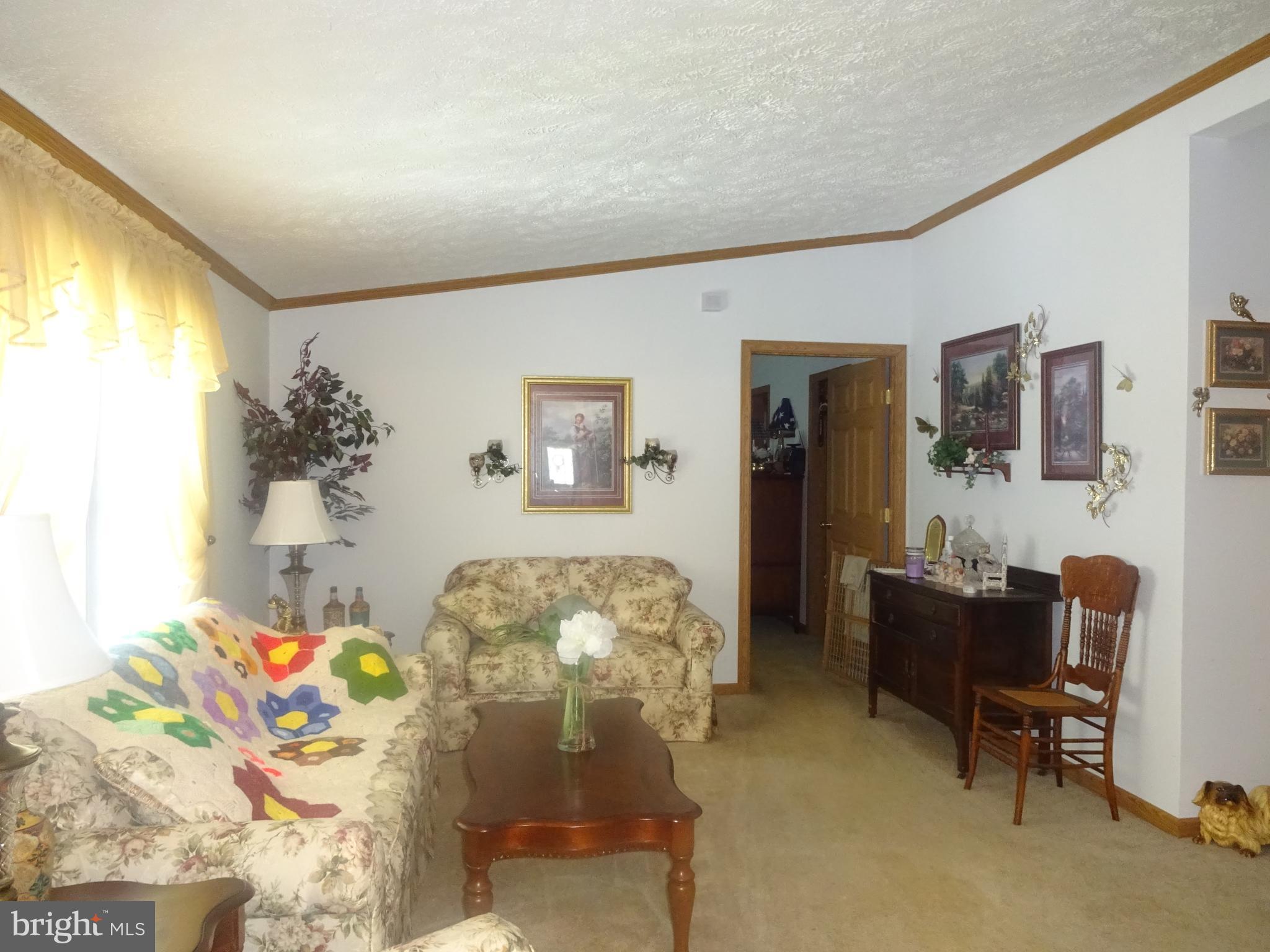 6614 Briarpatch Road Hurlock, MD 21643 - Photo 14 of 30 Living Room