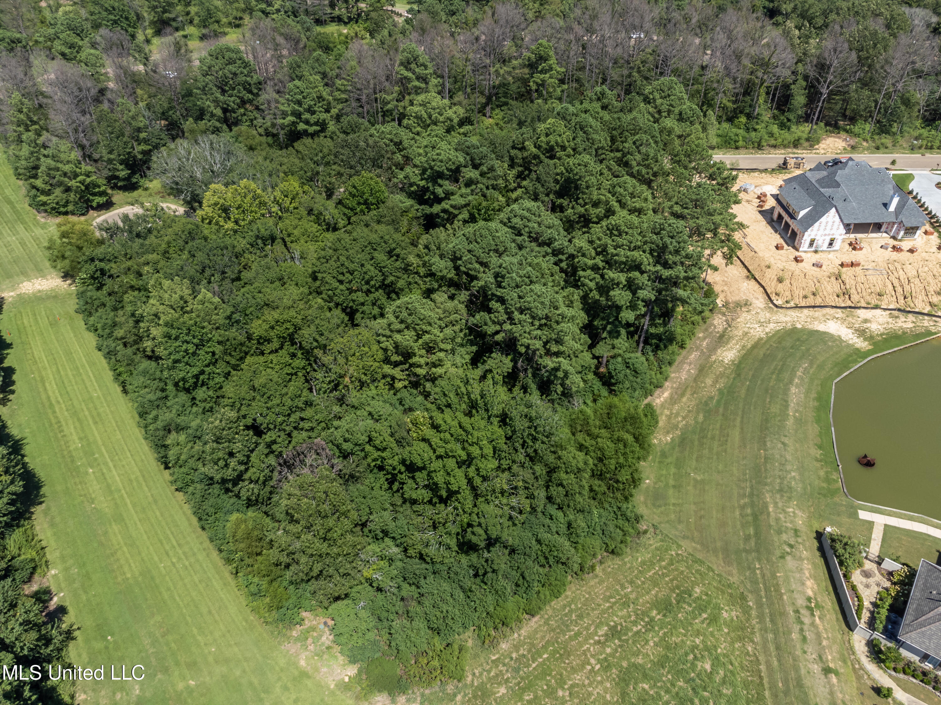 East Lake Drive Madison, MS 39110 - Photo 6 of 28 Stone Lake Dr Lot 42-6
