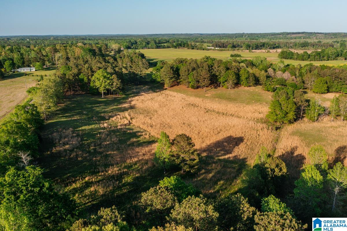 1820 County Road 3 Reform, AL 35481 - Photo 3 of 8
