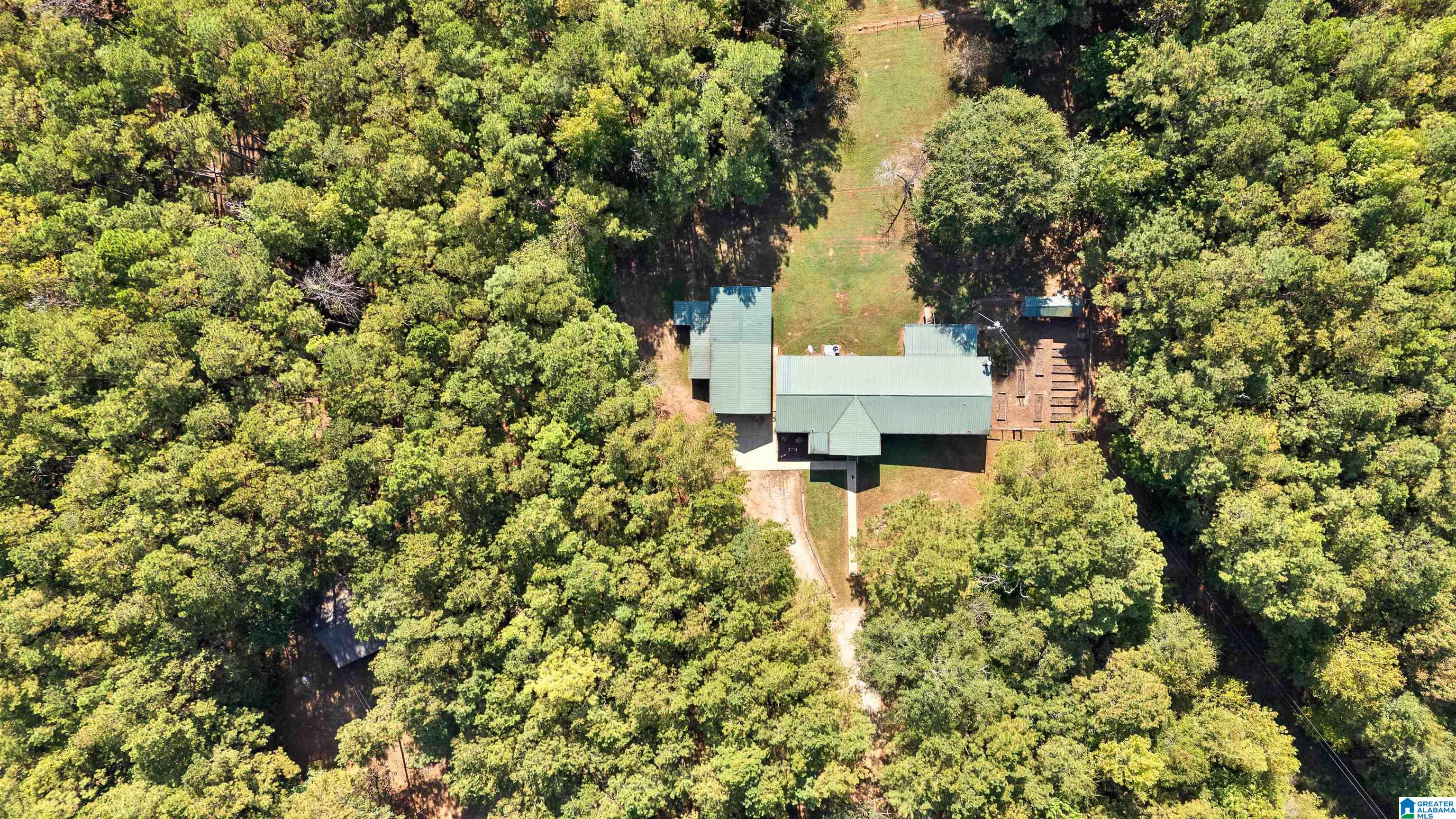 78 County Road 862 Wadley, AL 36276 - Photo 49 of 78